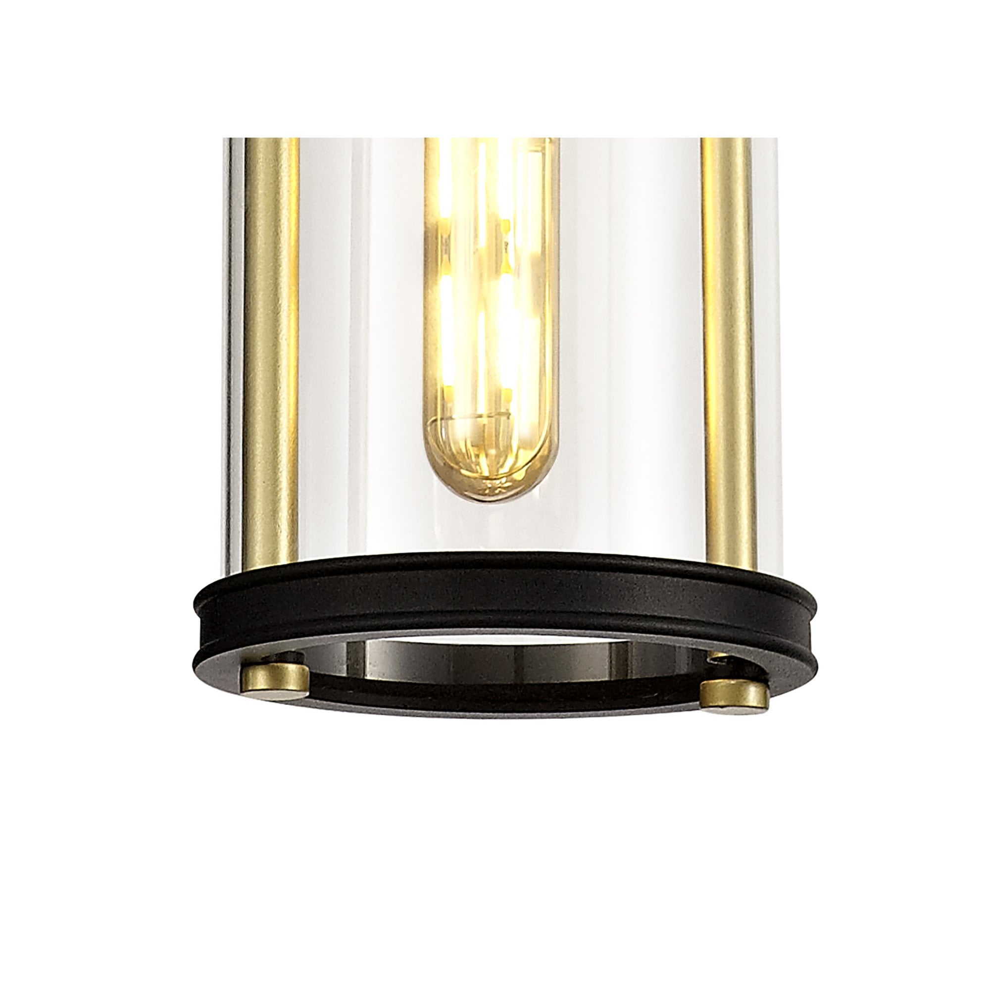 Fabula Harman Single Pendant - Black, Gold & Clear Glass - IP54
