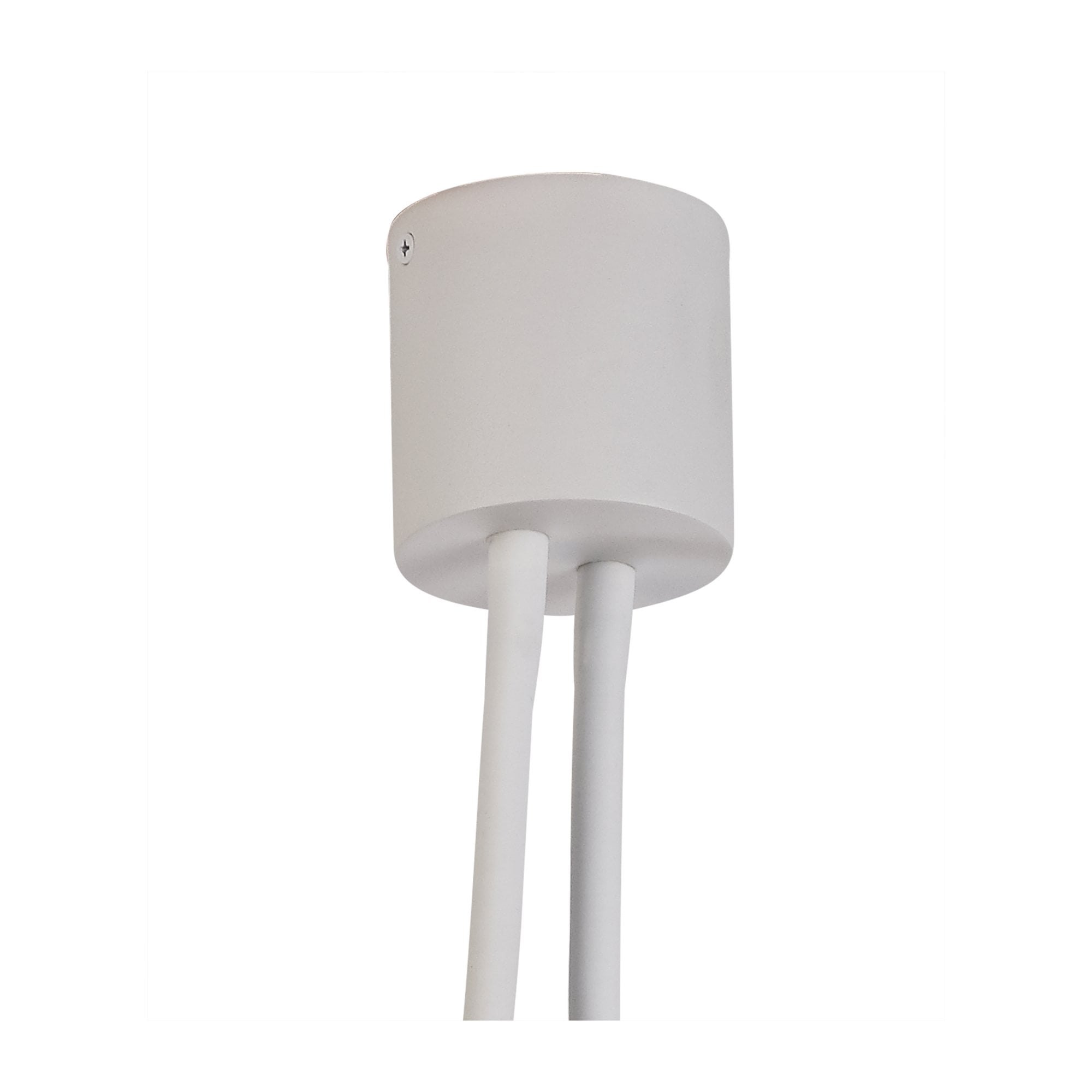 Fabula Hartwell 2 Light Flexible Ceiling Light - Satin White & Satin Nickel