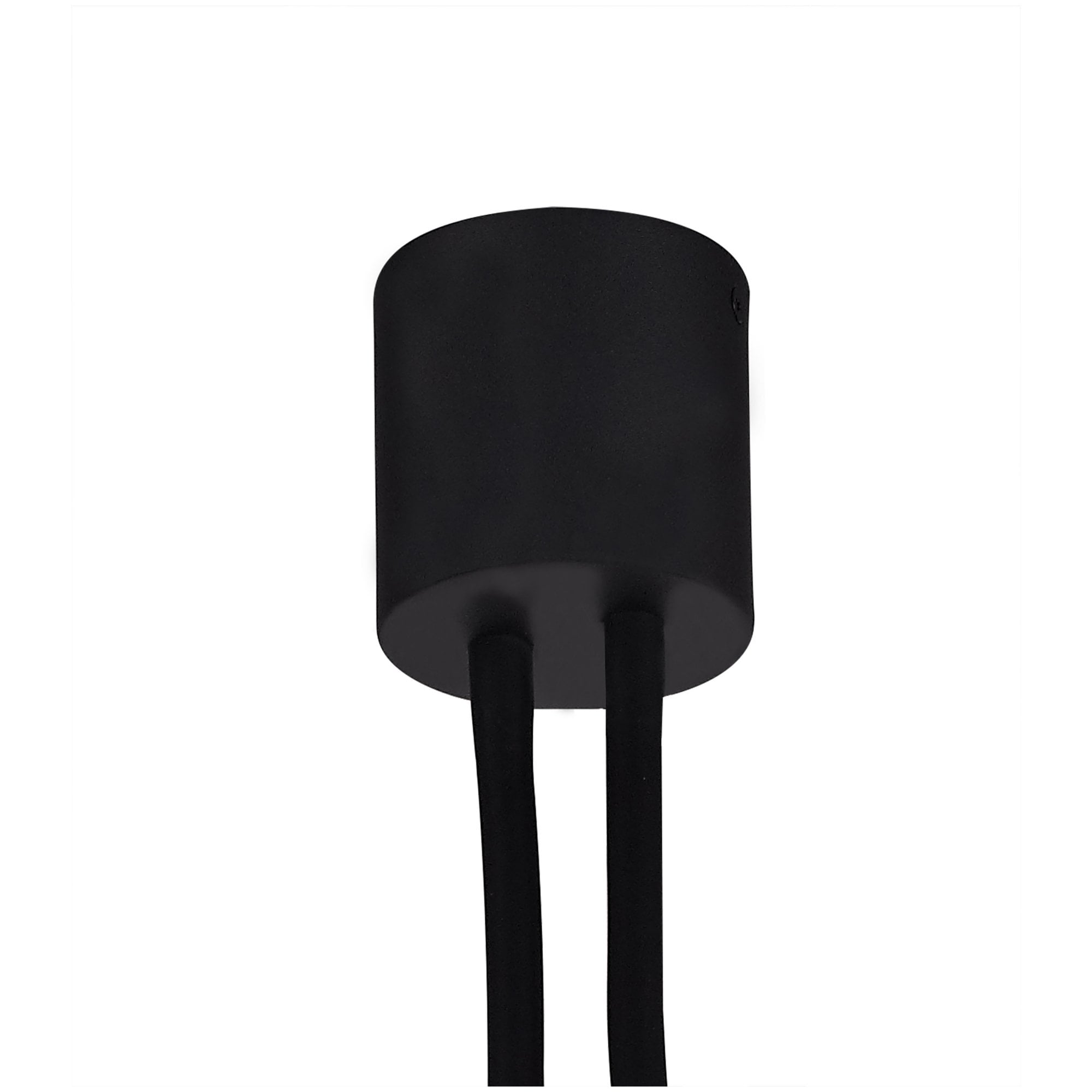 Fabula Hartwell 2 Light Flexible Ceiling Light - Satin Black & Brushed Copper