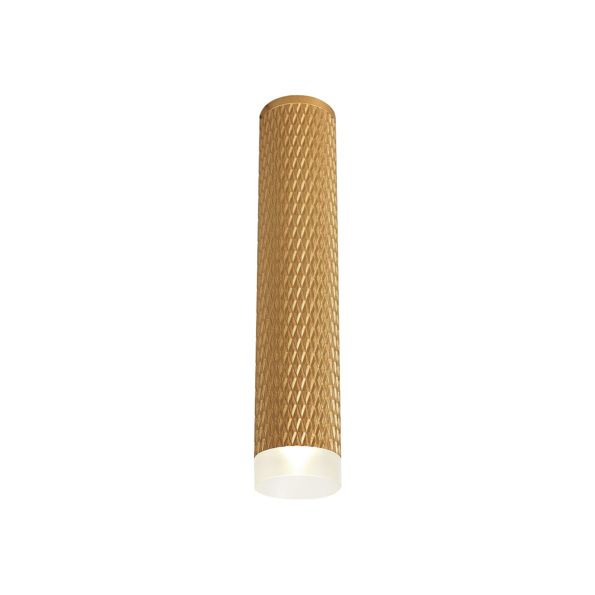 Fabula Summerfield Single 30cm Ceiling Spot Light - Champagne Gold & Acrylic Ring