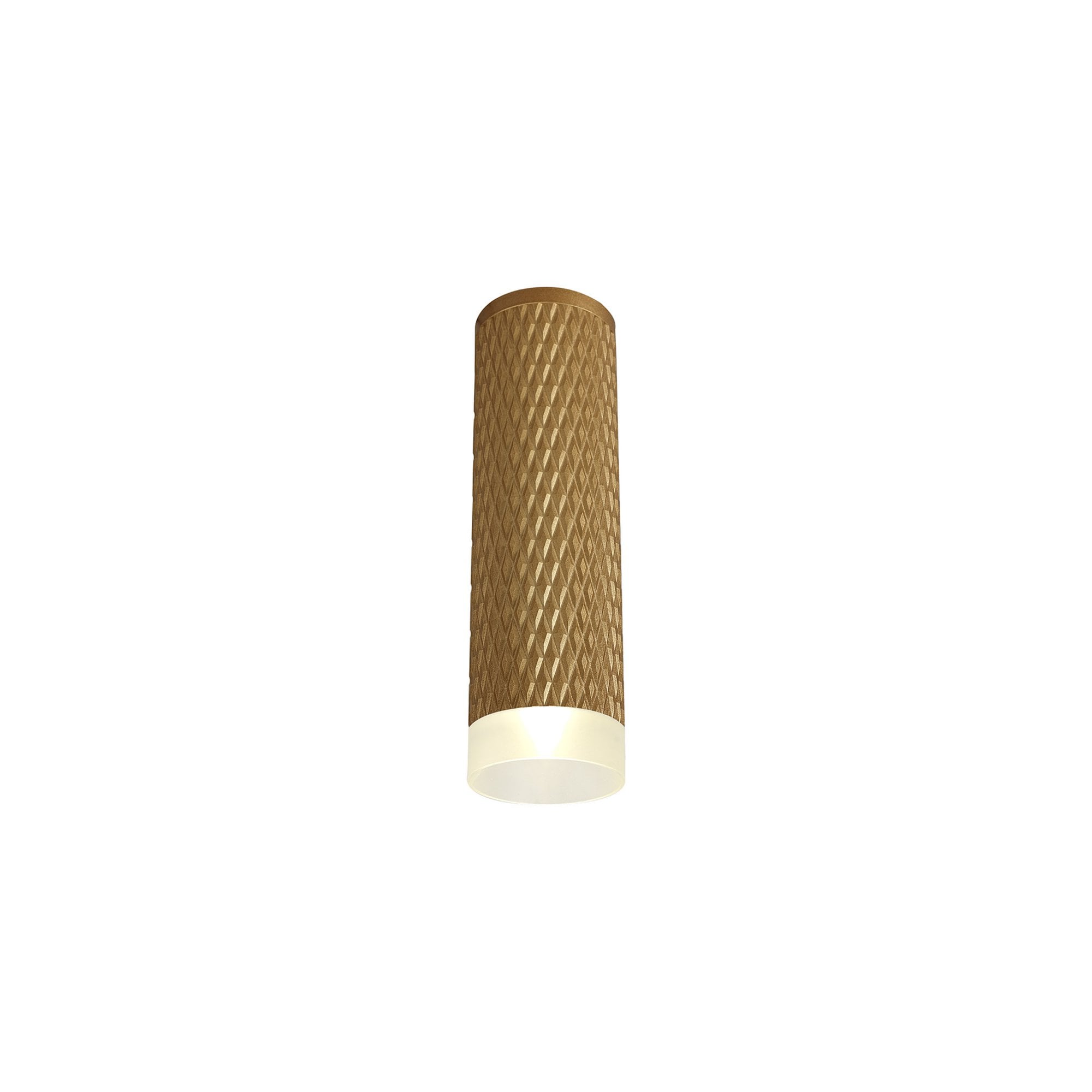 Fabula Summerfield Single 20cm Ceiling Spot Light - Champagne Gold & Acrylic Ring
