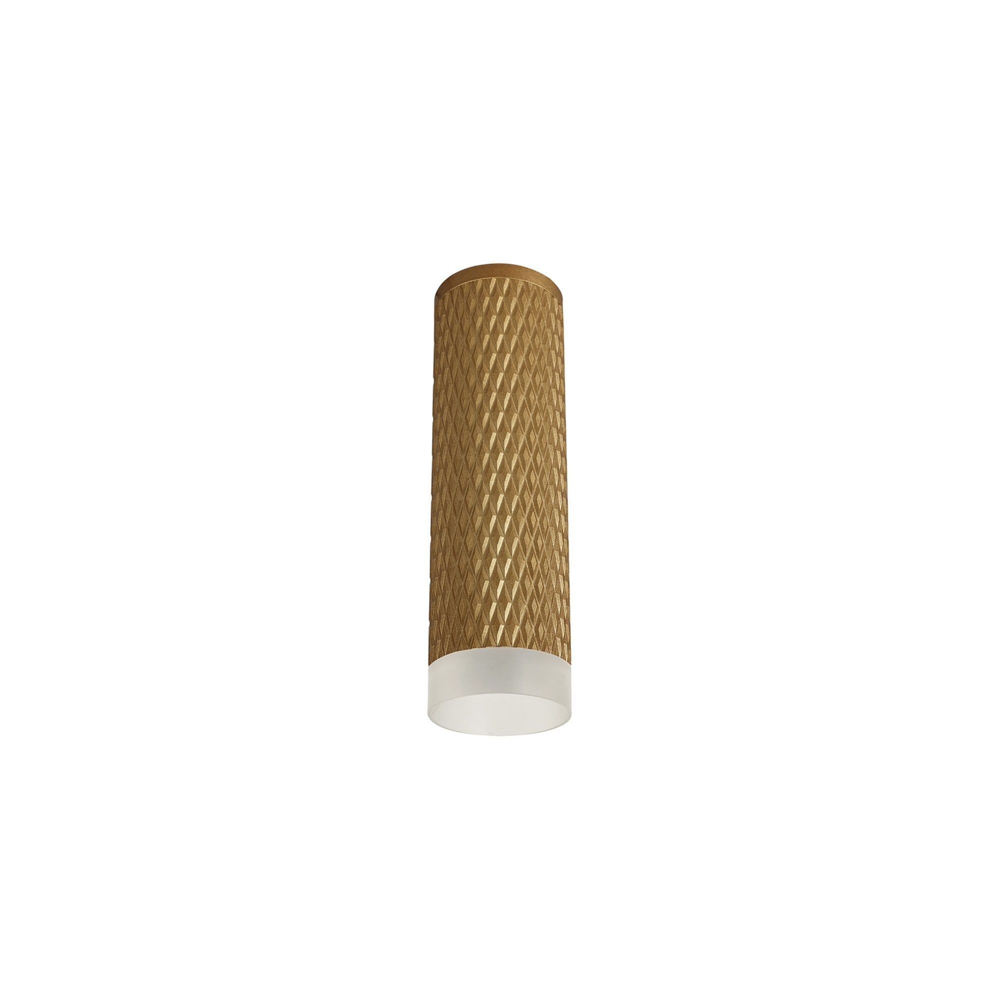 Fabula Summerfield Single 20cm Ceiling Spot Light - Champagne Gold & Acrylic Ring