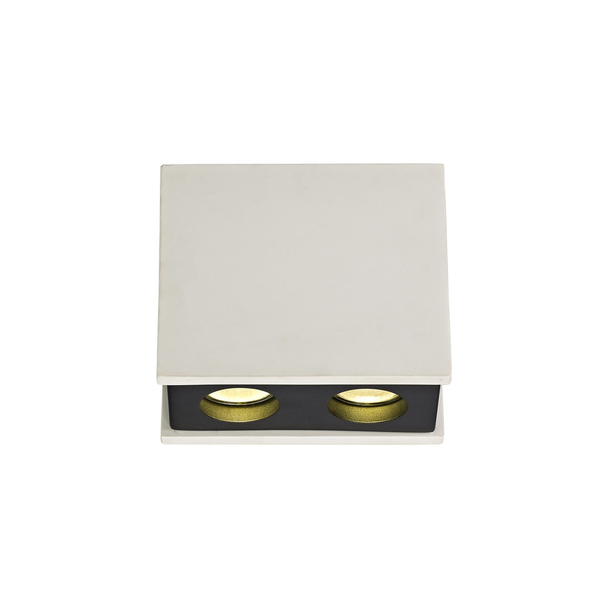 Fabula Trevose 2 Light Rectangular Ceiling Spot Light - White Paintable Gypsum & Matt Black Cover