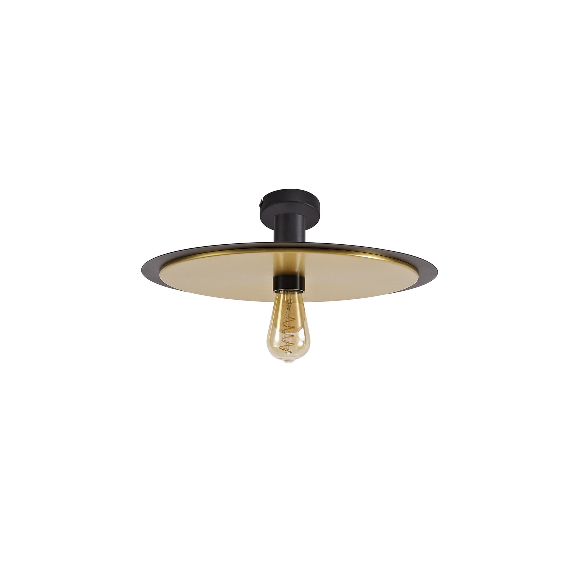 Fabula Valley Single Flush/Semi-Flush/Pendant - Black & Gold