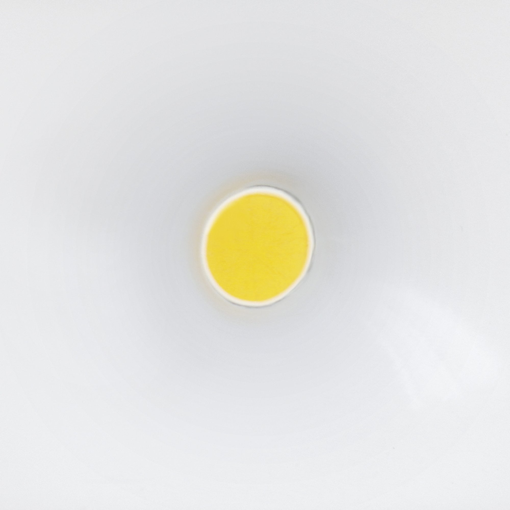 Steinel LS 150 LED Floodlight with PIR - White