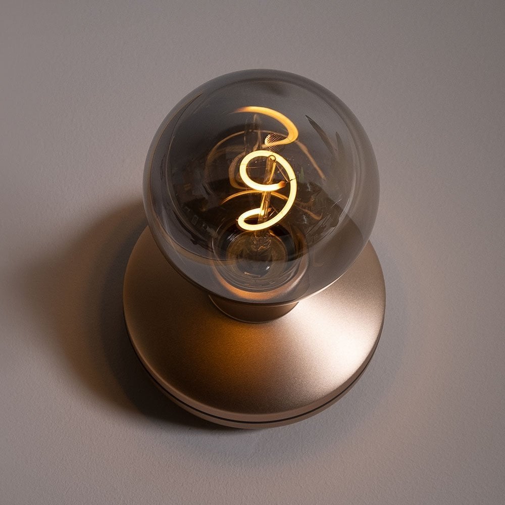 Humble Bee Wall Light - Gold & Smoked Bulb