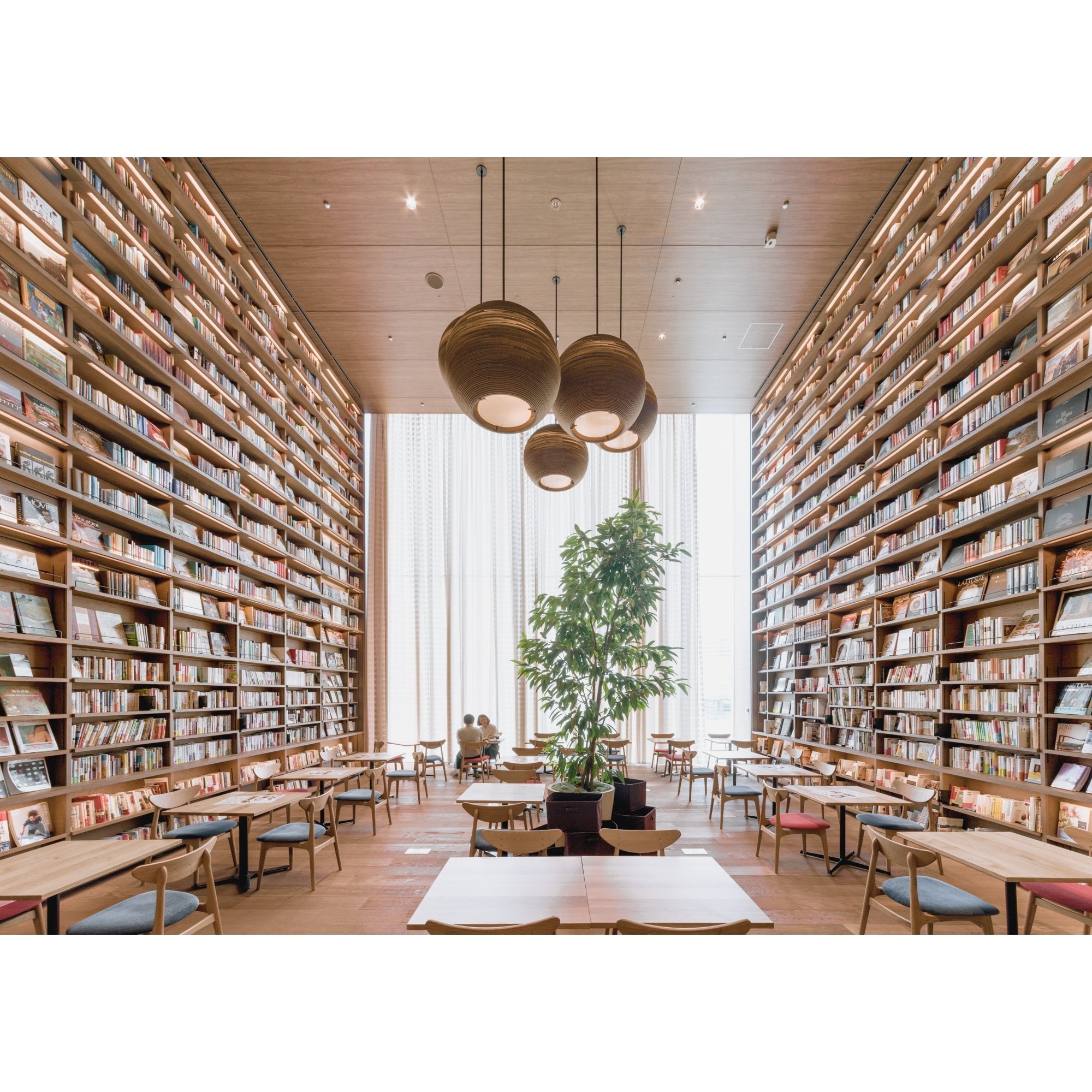 Graypants Scraplights Sun 32 Pendant with Glass Diffuser - Natural - 82cm Diameter