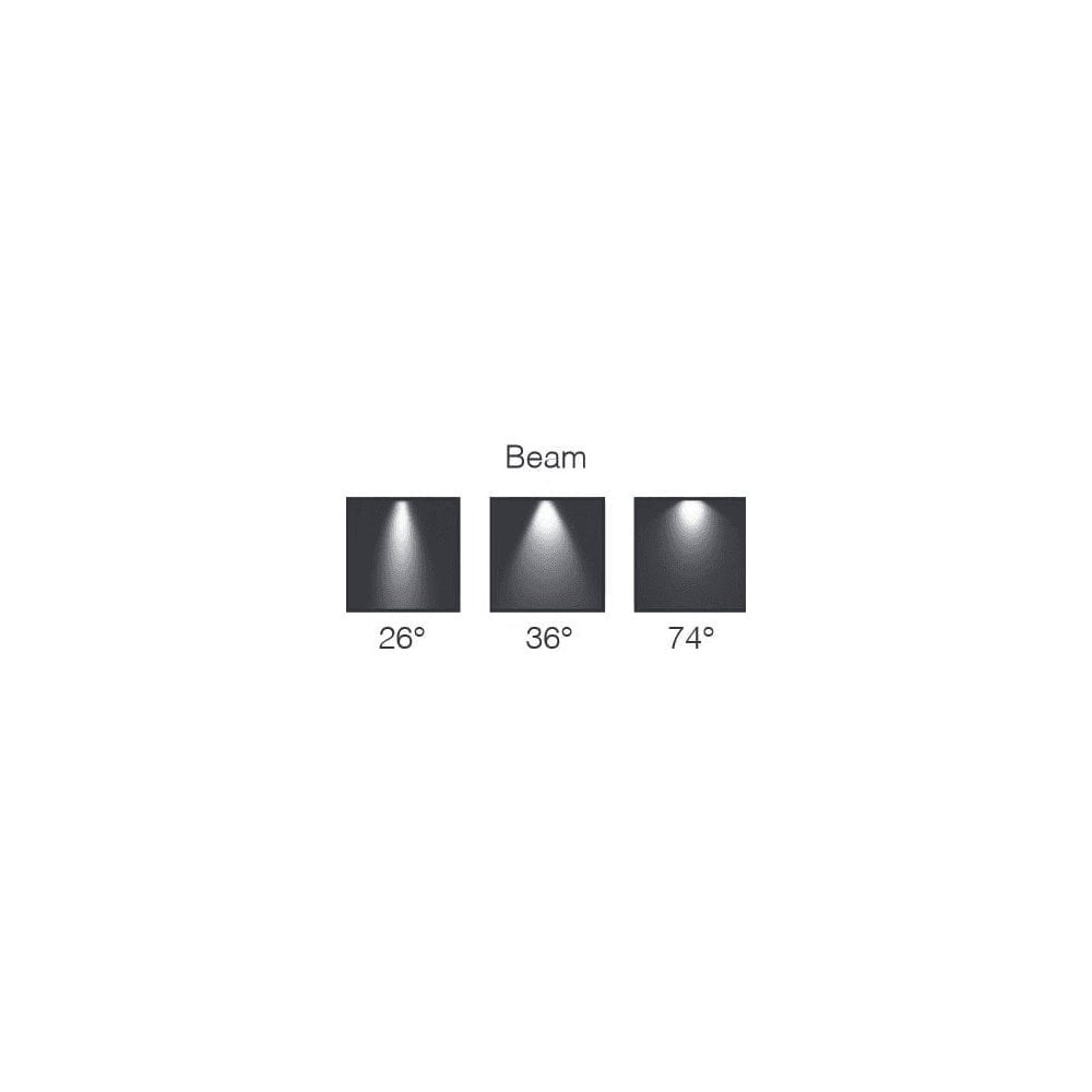 LuxR M4 Pond Light (Weighted Base) with 12V Integral Driver - Powder Coat - Low Voltage