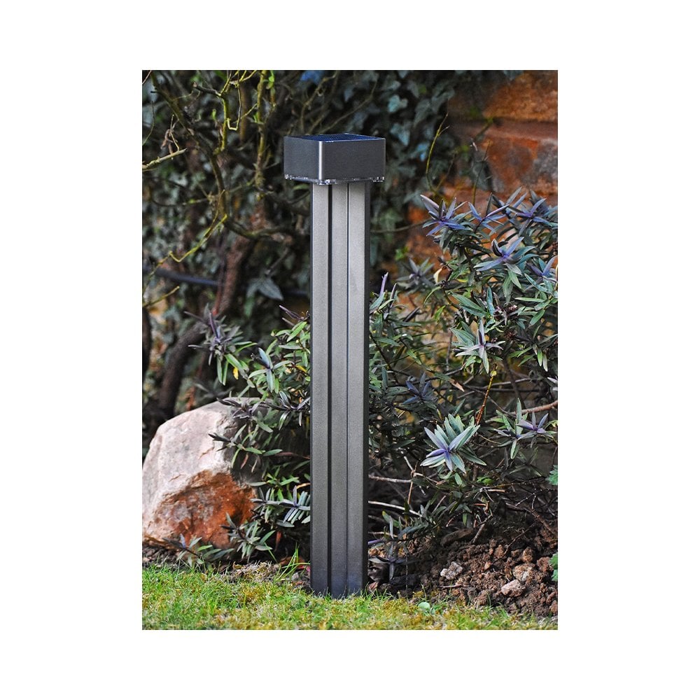 Lumena Pro Solar Endura - LED Path Lights (2 PACK) - Solar