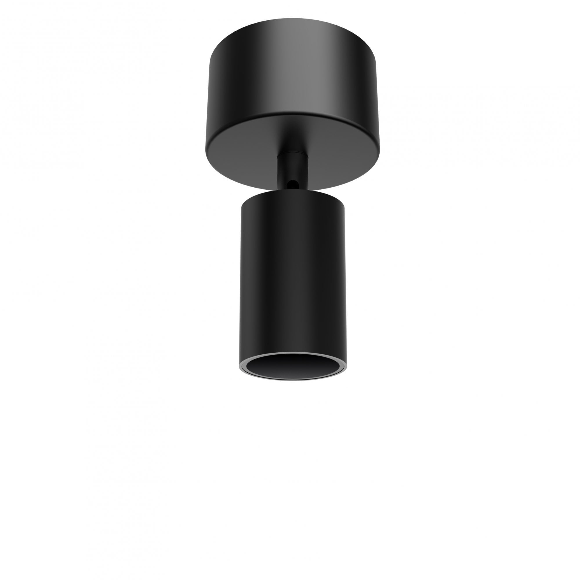 Collingwood 1901 Rotatable Spotlight Surface Mounted - All Black