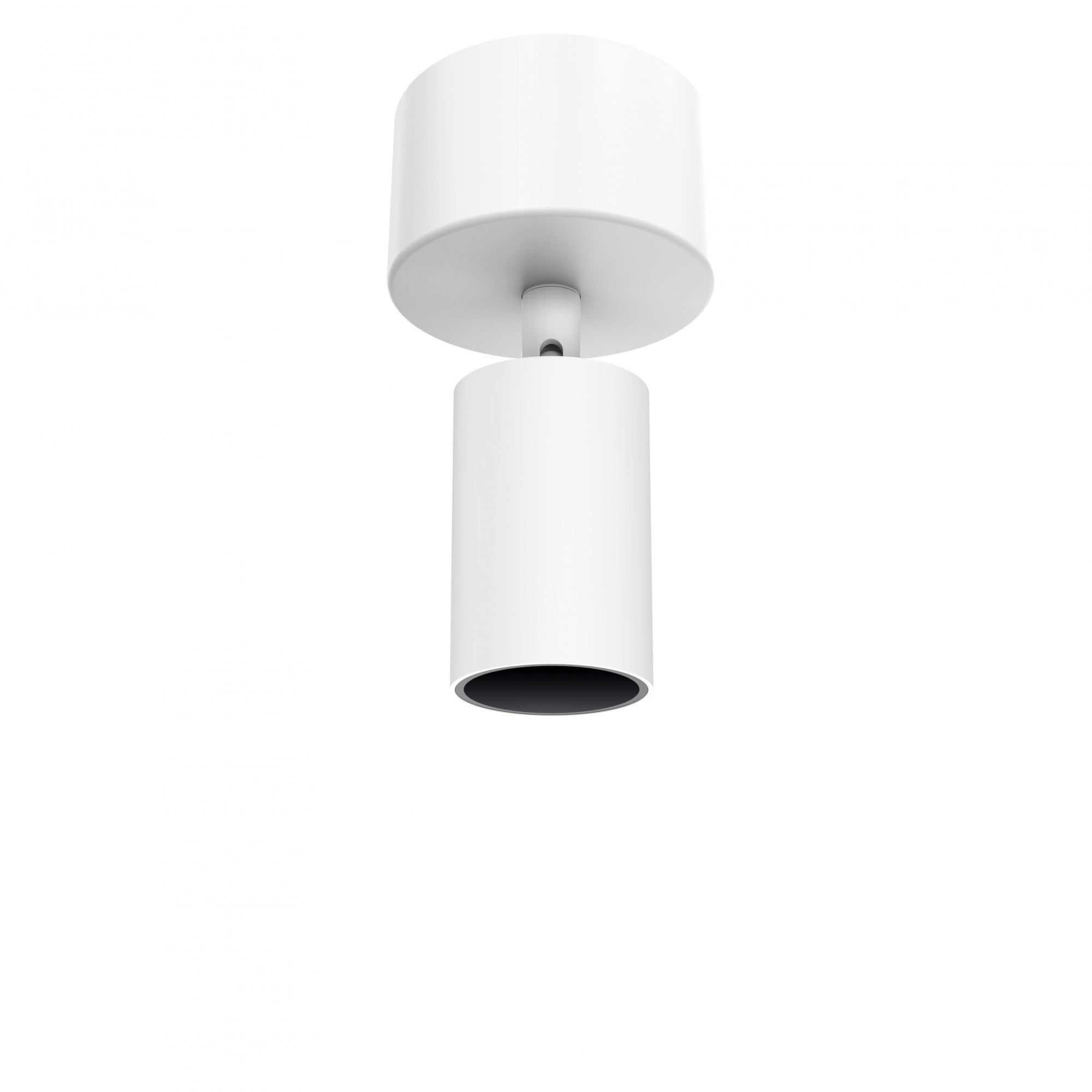 Collingwood 1901 Rotatable Spotlight Surface Mounted - White Housing/Black Baffle