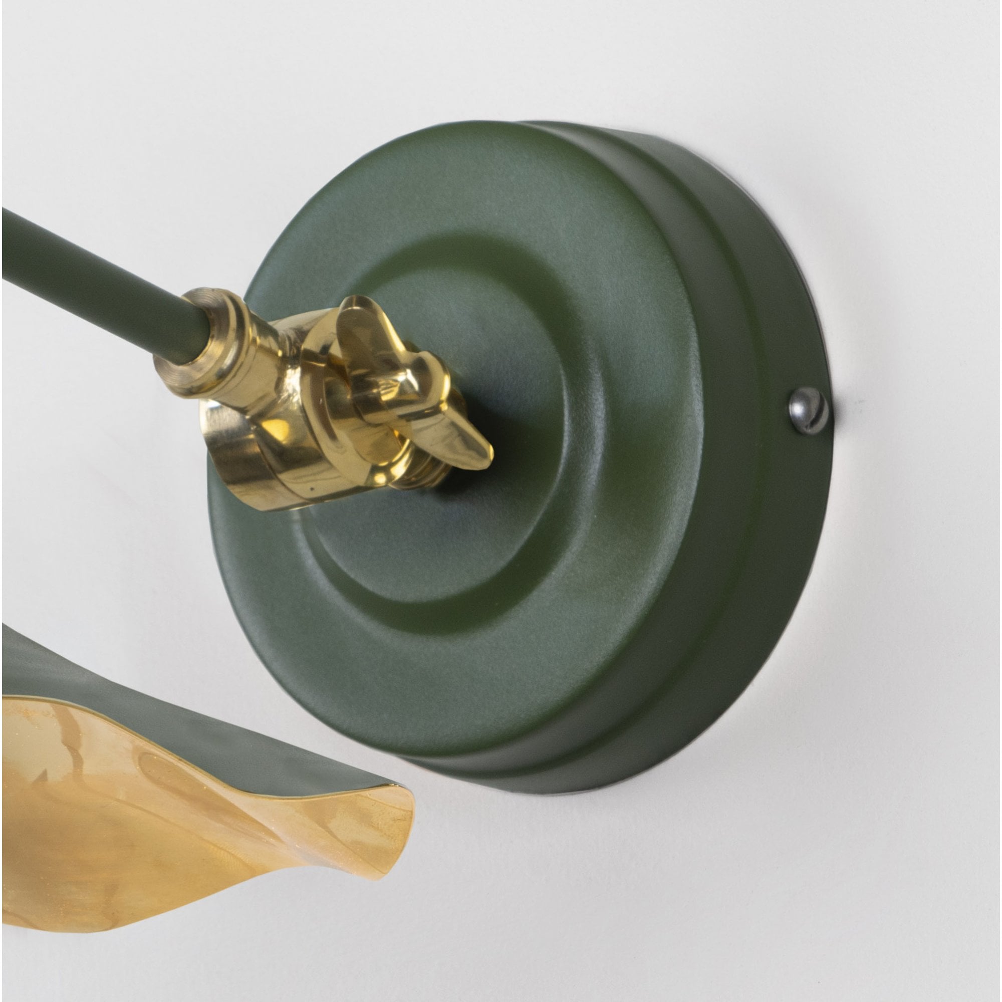 From The Anvil Smooth Brass Flora Wall Light - Heath (Earthy Green)
