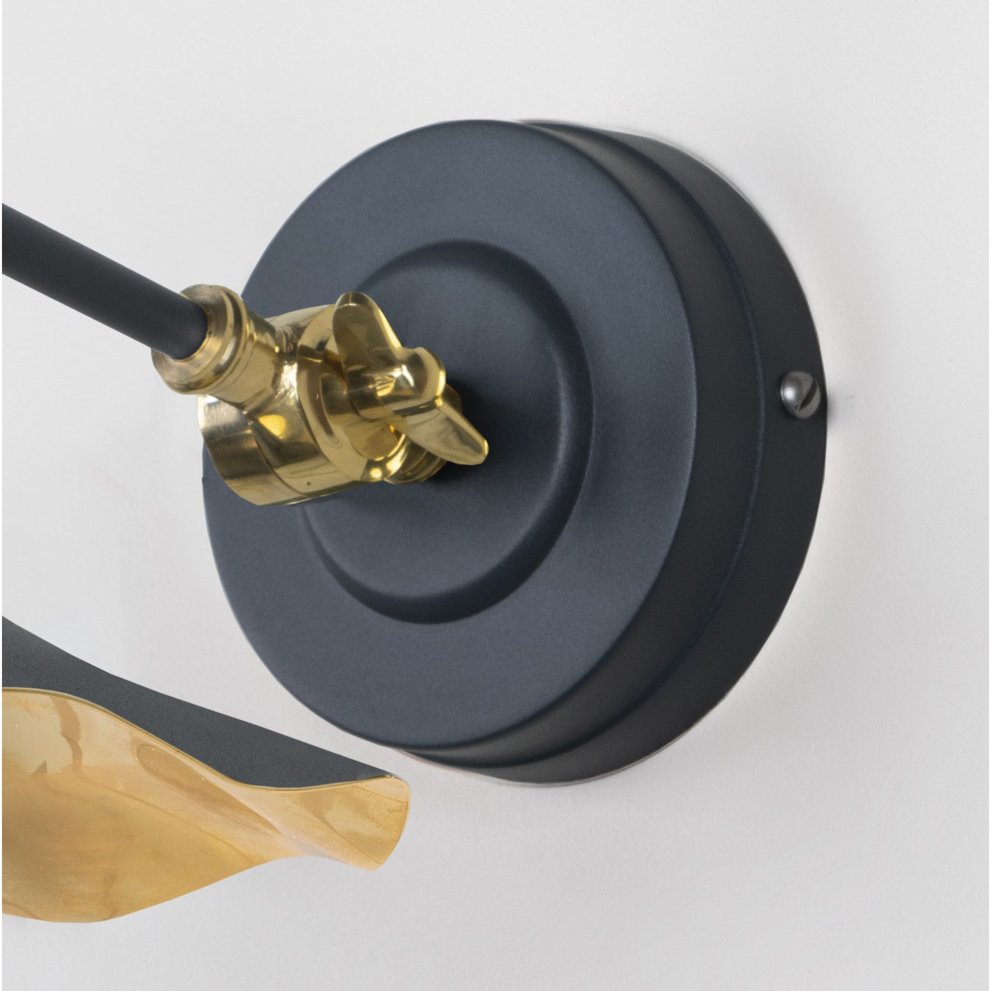 From The Anvil Smooth Brass Flora Wall Light - Soot (Dark Grey)