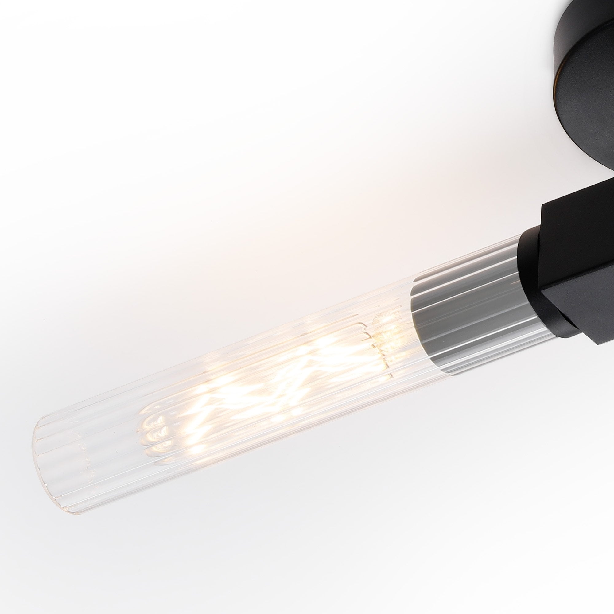 Fabula Beech Tree 2 Light Flush Light - Satin Black - IP44