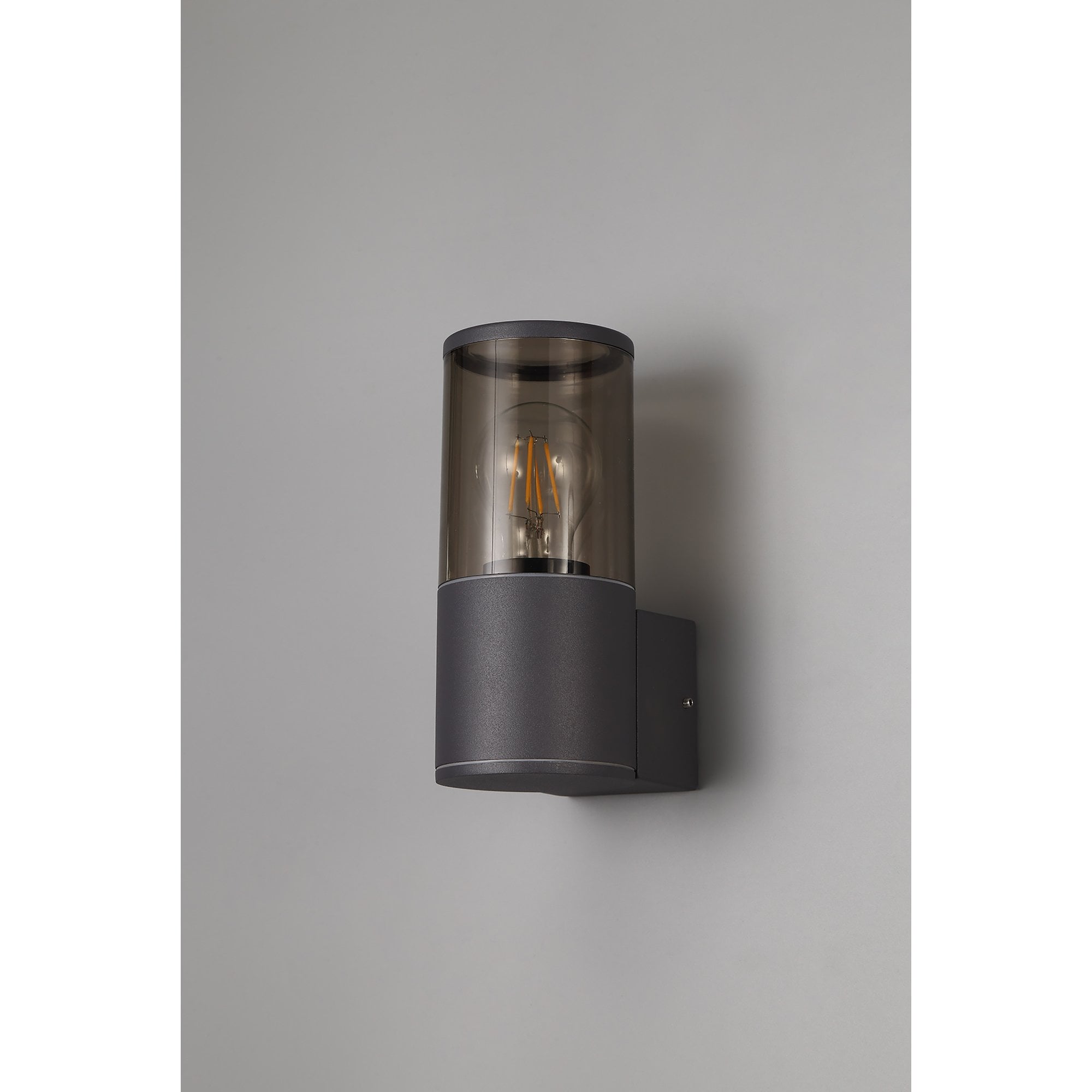 Fabula Harwater Single Wall Lamp - Anthracite & Smoked PC - IP54