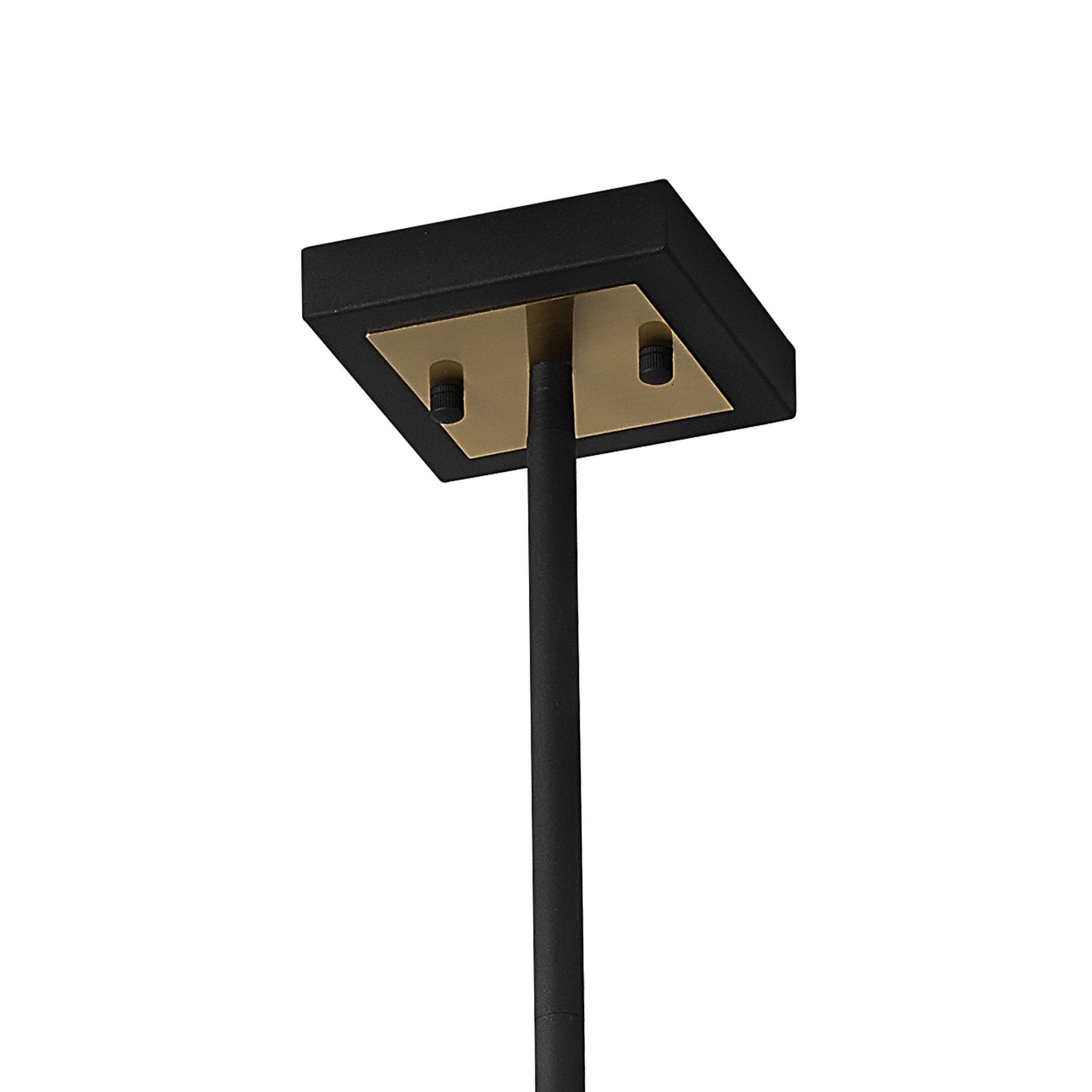 Fabula Kimberley 8 Light Pendant - Black & Gold