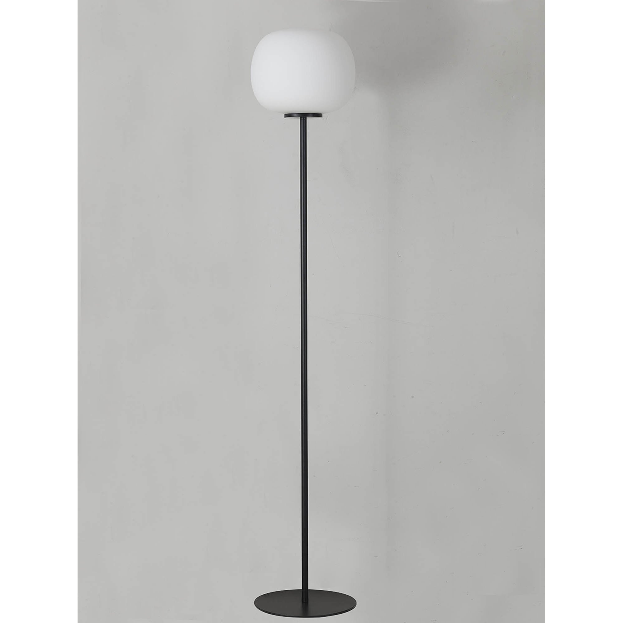 Fabula Littleton Medium Single Oval Ball Floor Lamp - Matt Black & Frosted White Glass