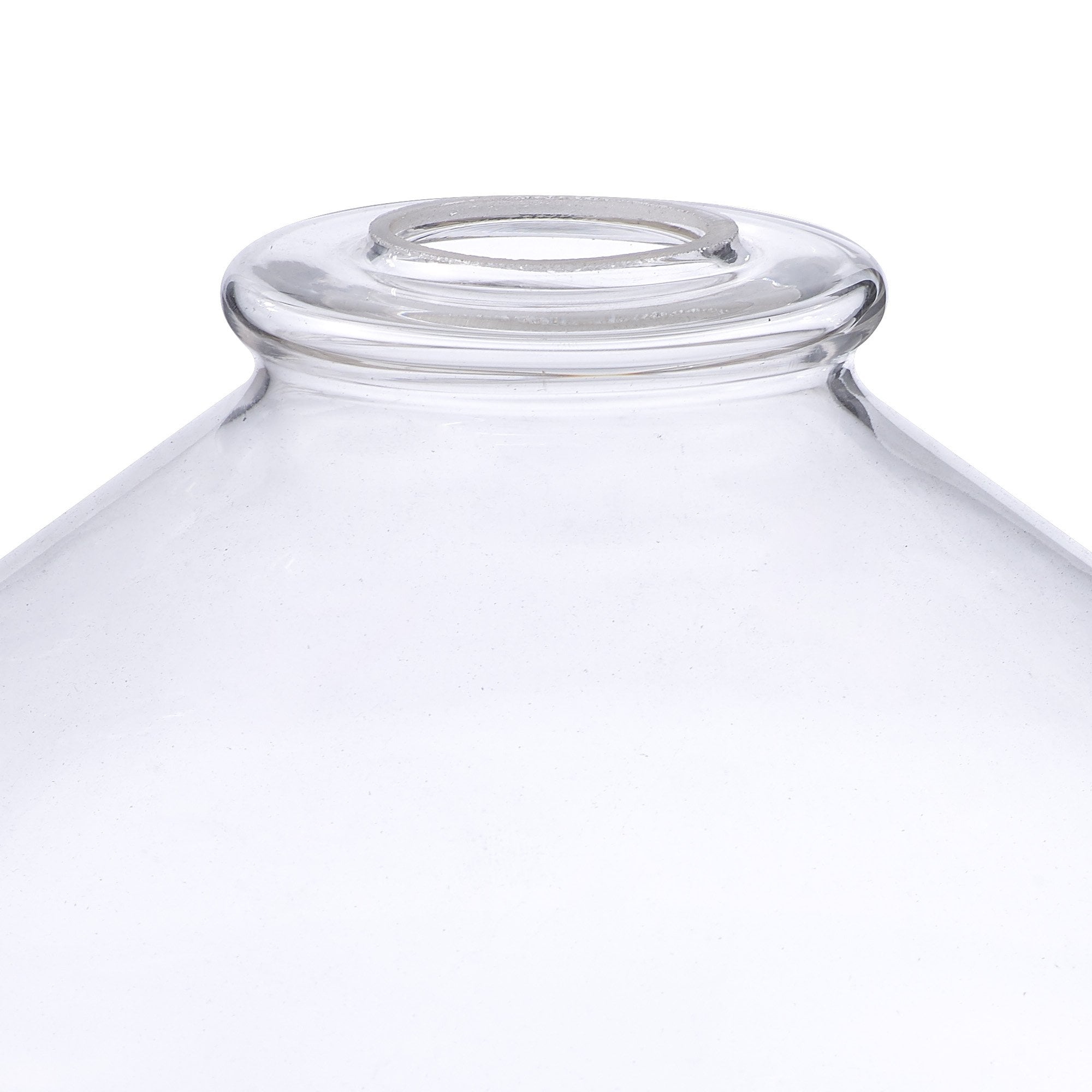 Fabula Maple Wide Shade - Clear Glass - Shade Only