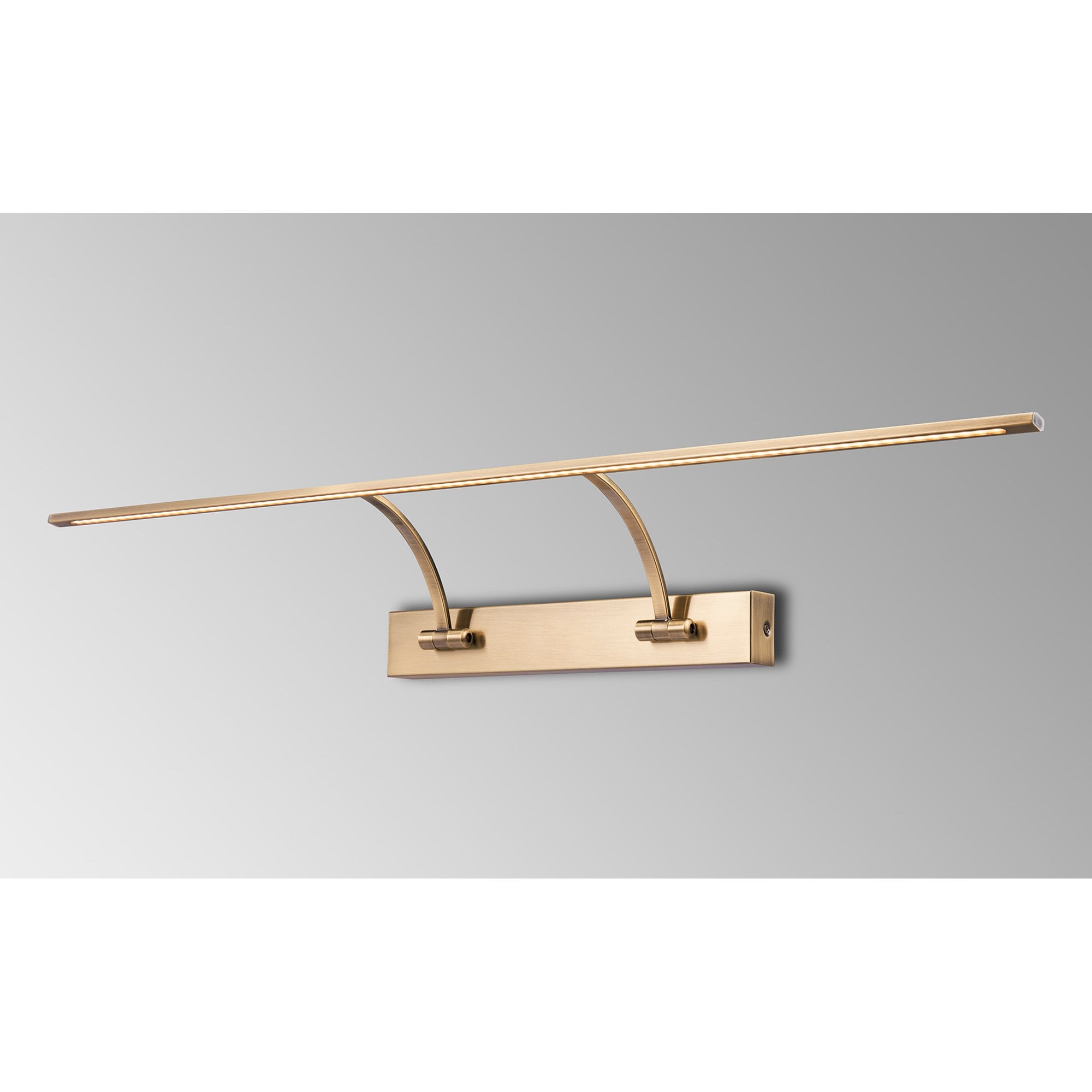 Fabula Plumtree Large 2 Arm LED Wall Lamp/Picture Light - Antique Brass