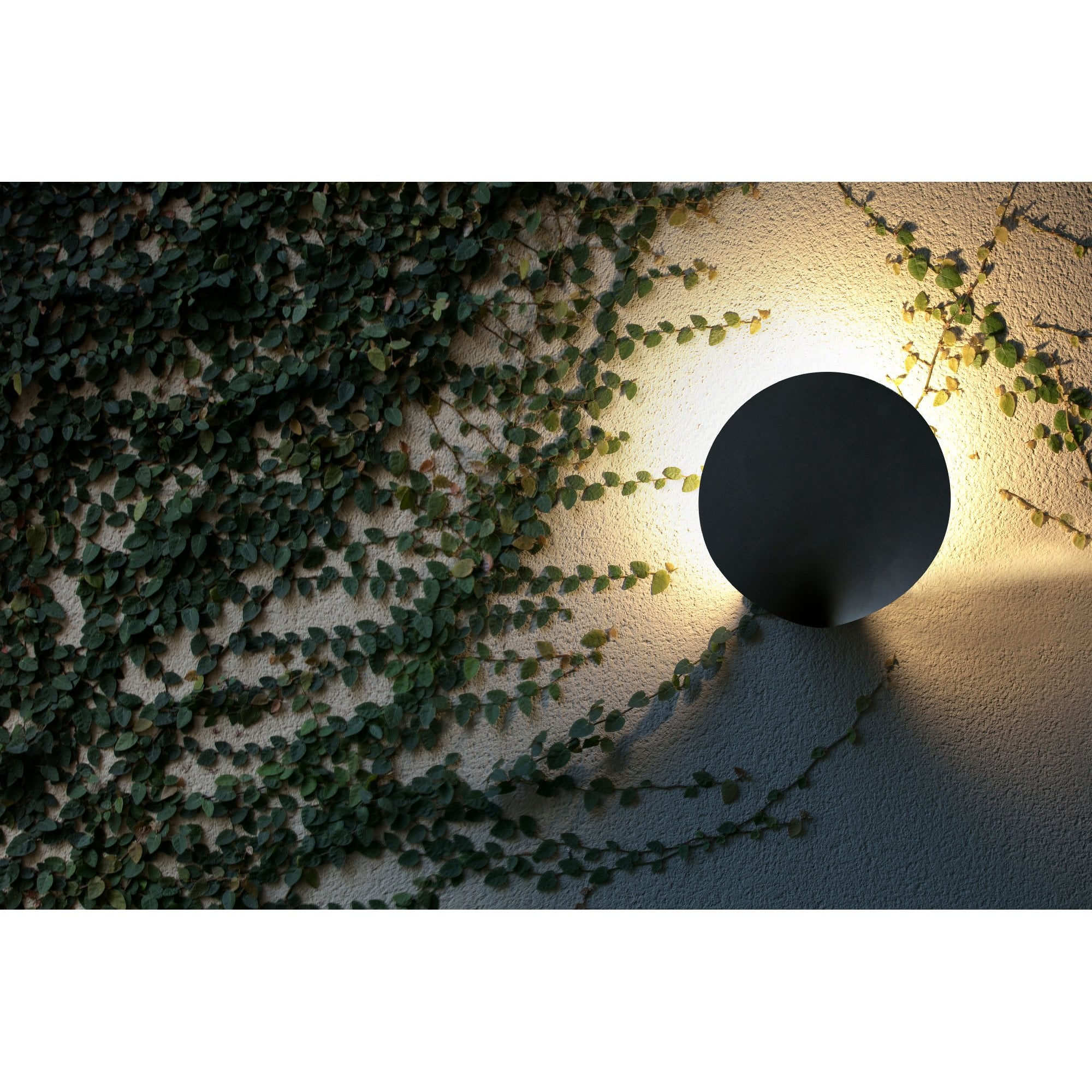 Faro Lotus Wall Lamp - Dark Grey