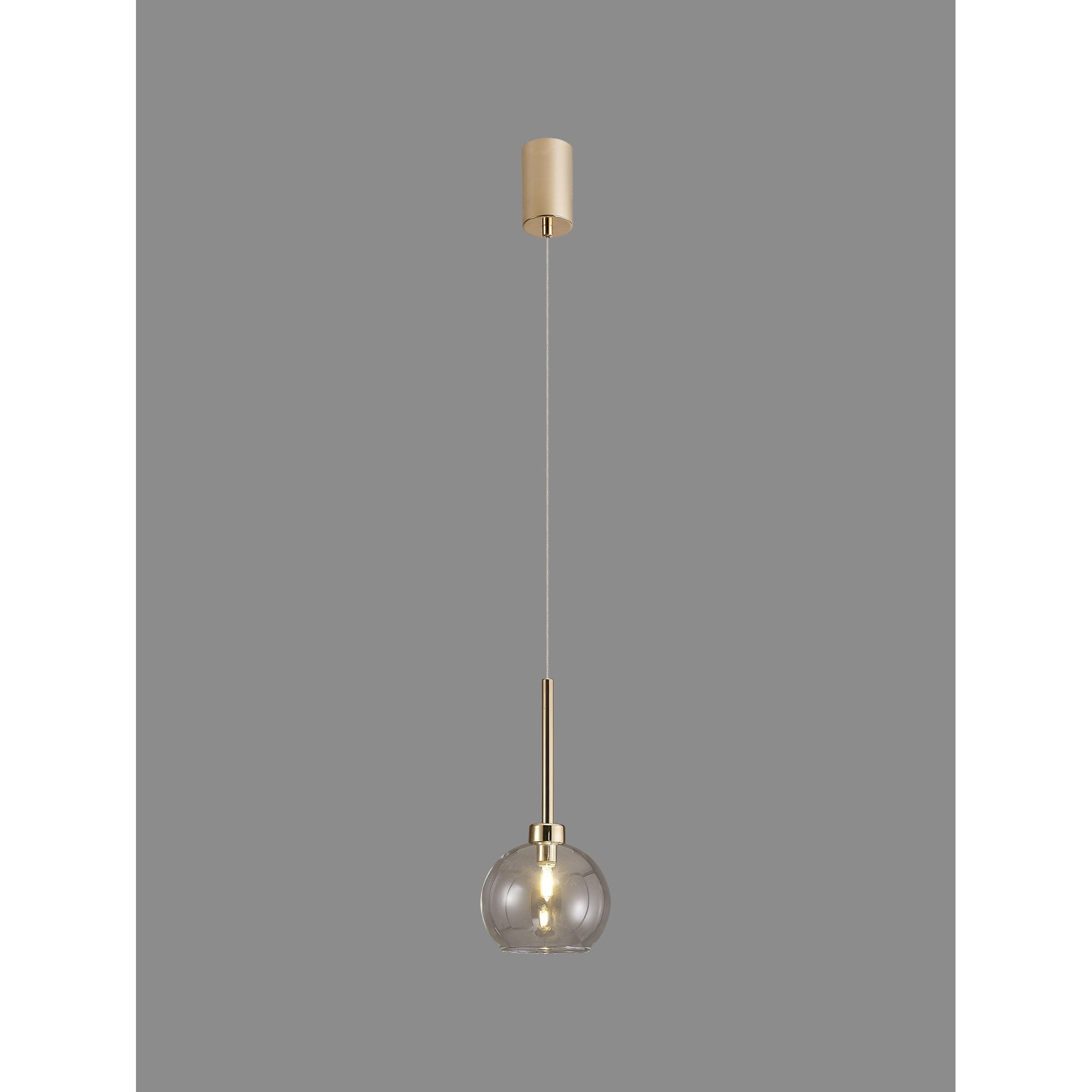 Fabula Tamworth Single Pendant - Round Open Mouth Shade - French Gold & Clear Glass