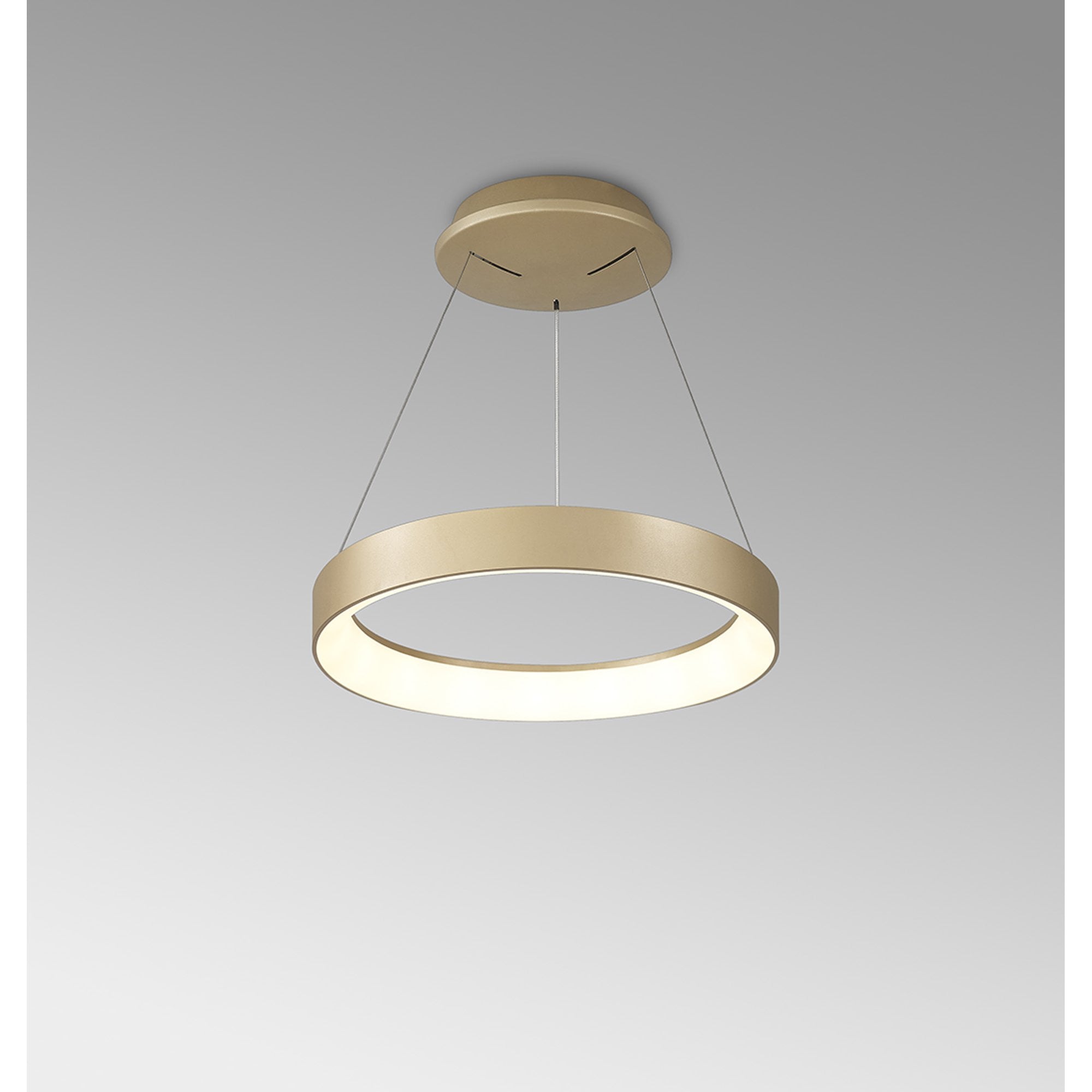 Mantra Niseko II 38cm Ring Pendant - Gold