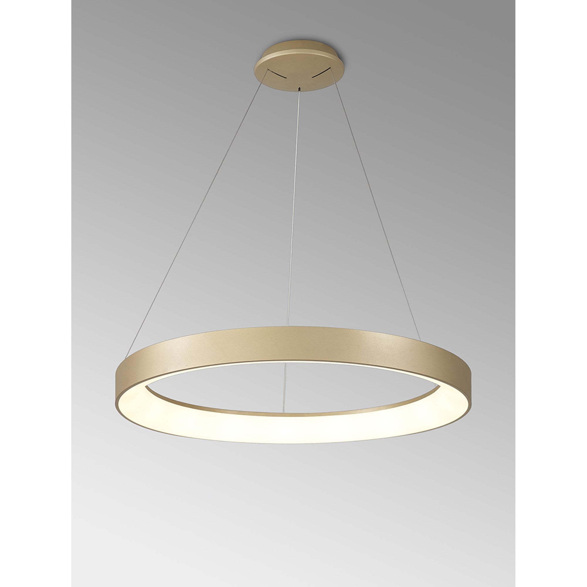 Mantra Niseko II 65cm Ring Pendant - Gold