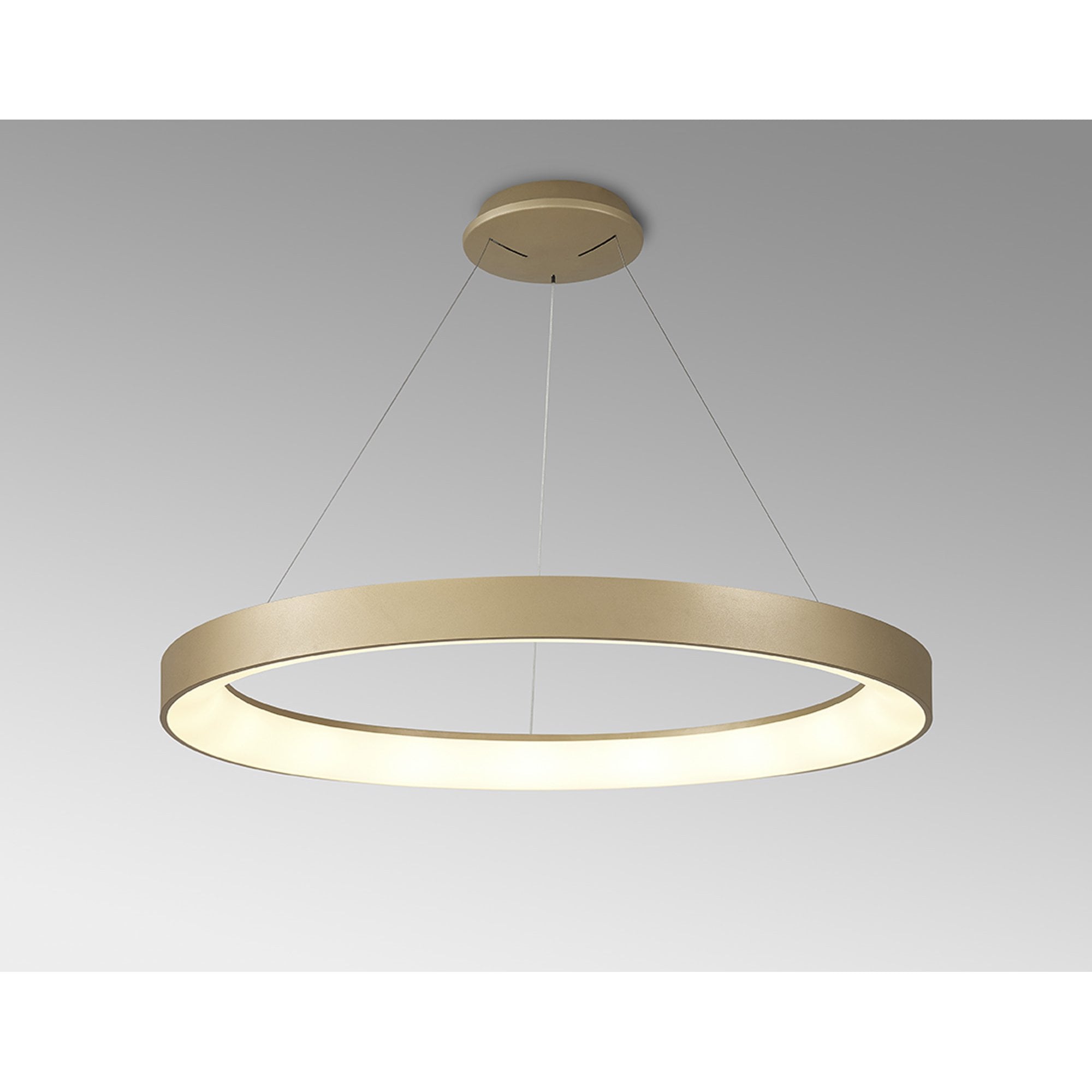 Mantra Niseko II 90cm Ring Pendant - Gold