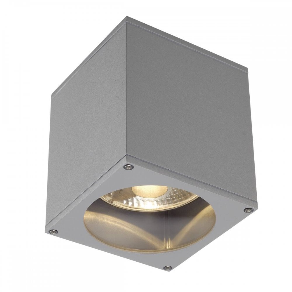 SLV Big Theo Outdoor Ceiling Light - Silver-Grey - Mains
