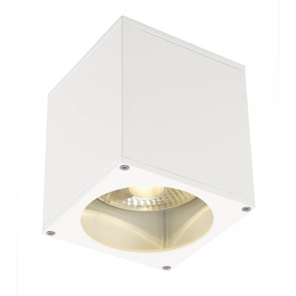 SLV Big Theo Outdoor Ceiling Light - White - Mains