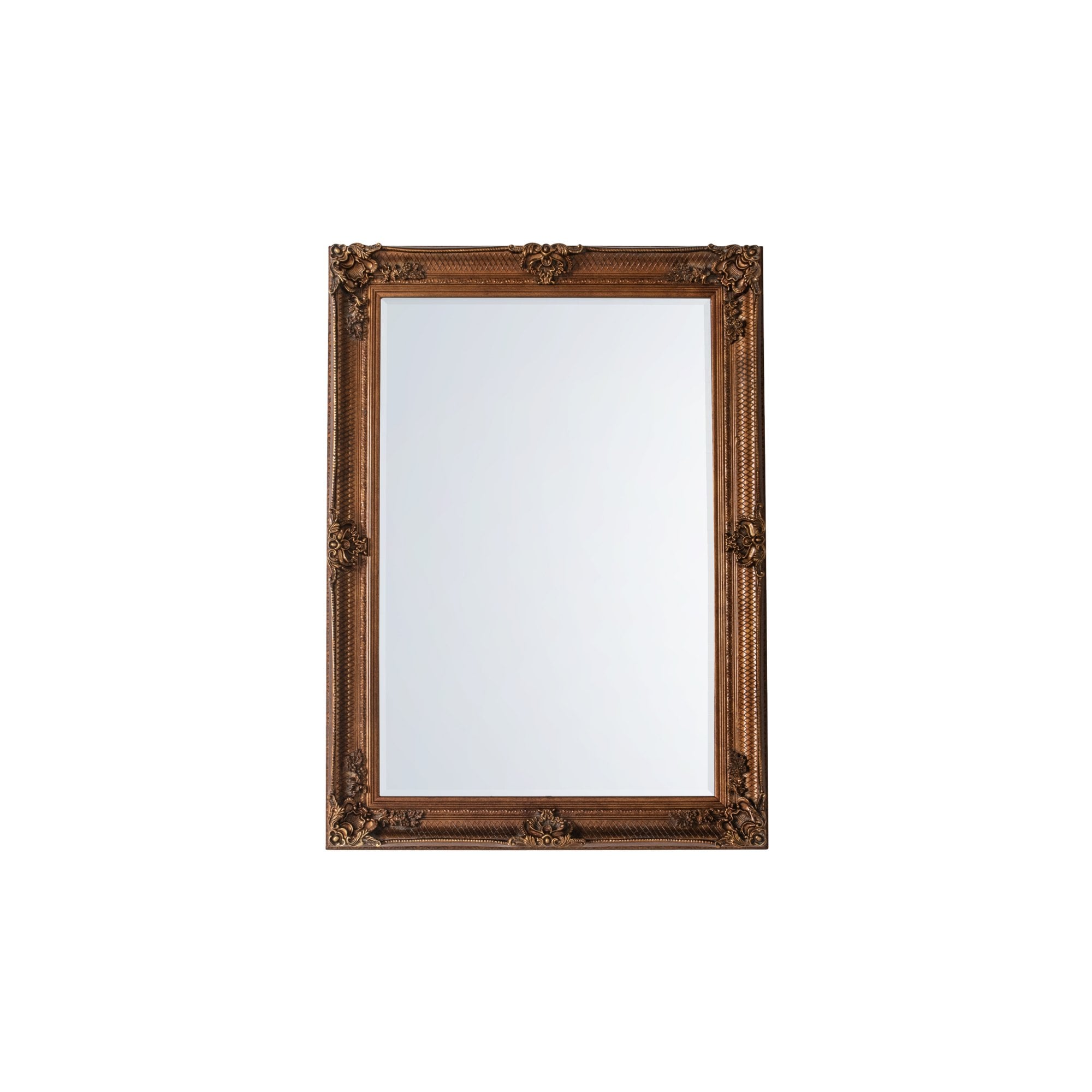 Mura Riverside Rectangle Wall Mirror - Aged Gold Wood