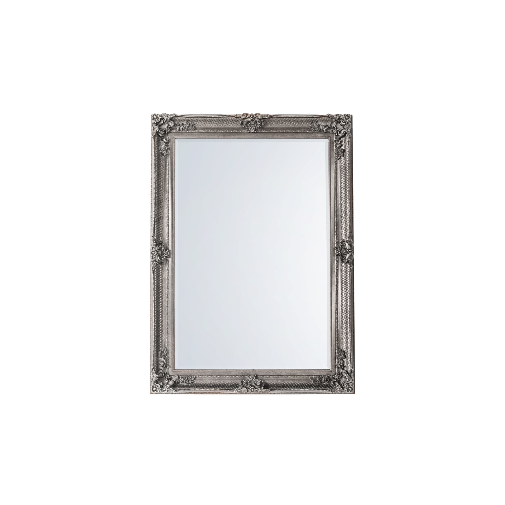 Mura Riverside Rectangle Wall Mirror - Aged Silver Wood