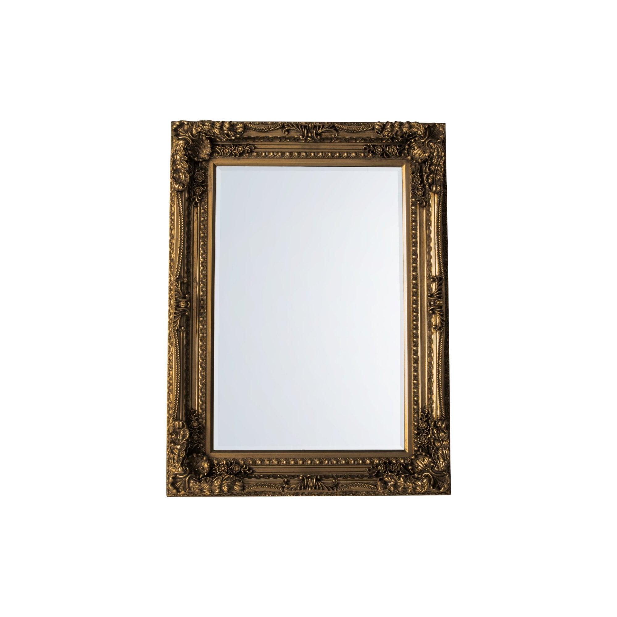 Mura Collier Medium Rectangle Wall Mirror - Gold Leaf