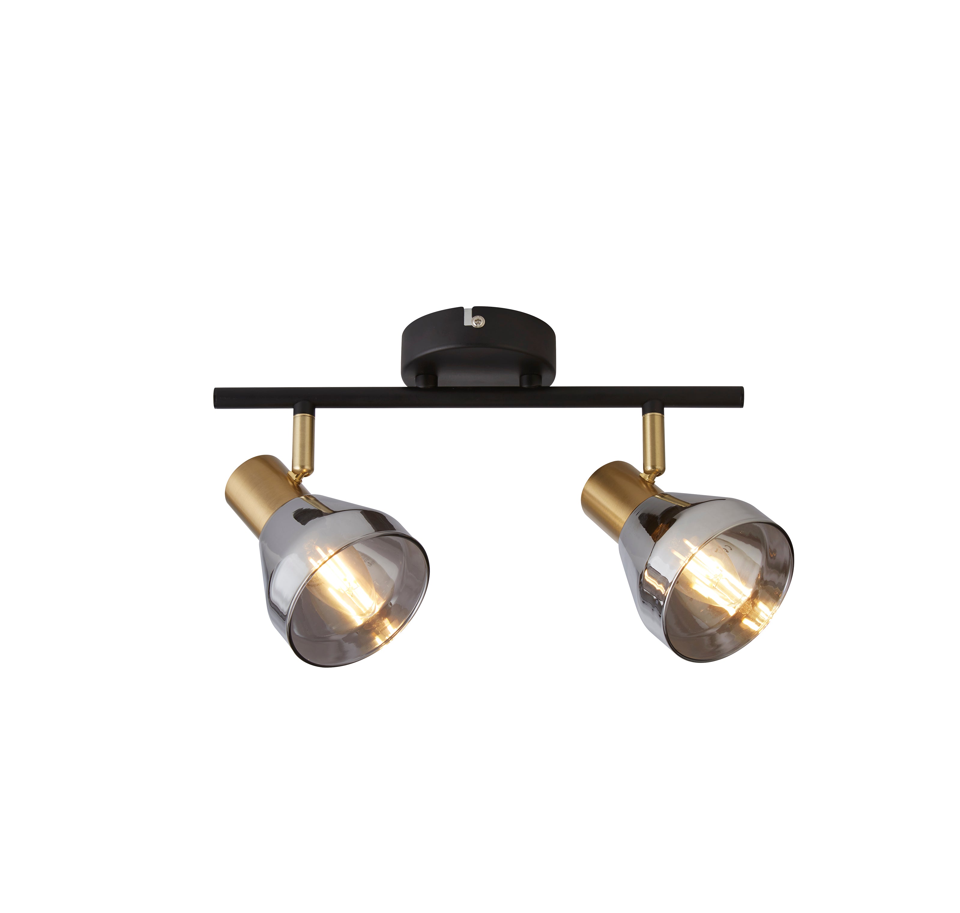 Searchlight Westfield 2 Light Spotlight - Black, Satin Brass & Smoked Glass