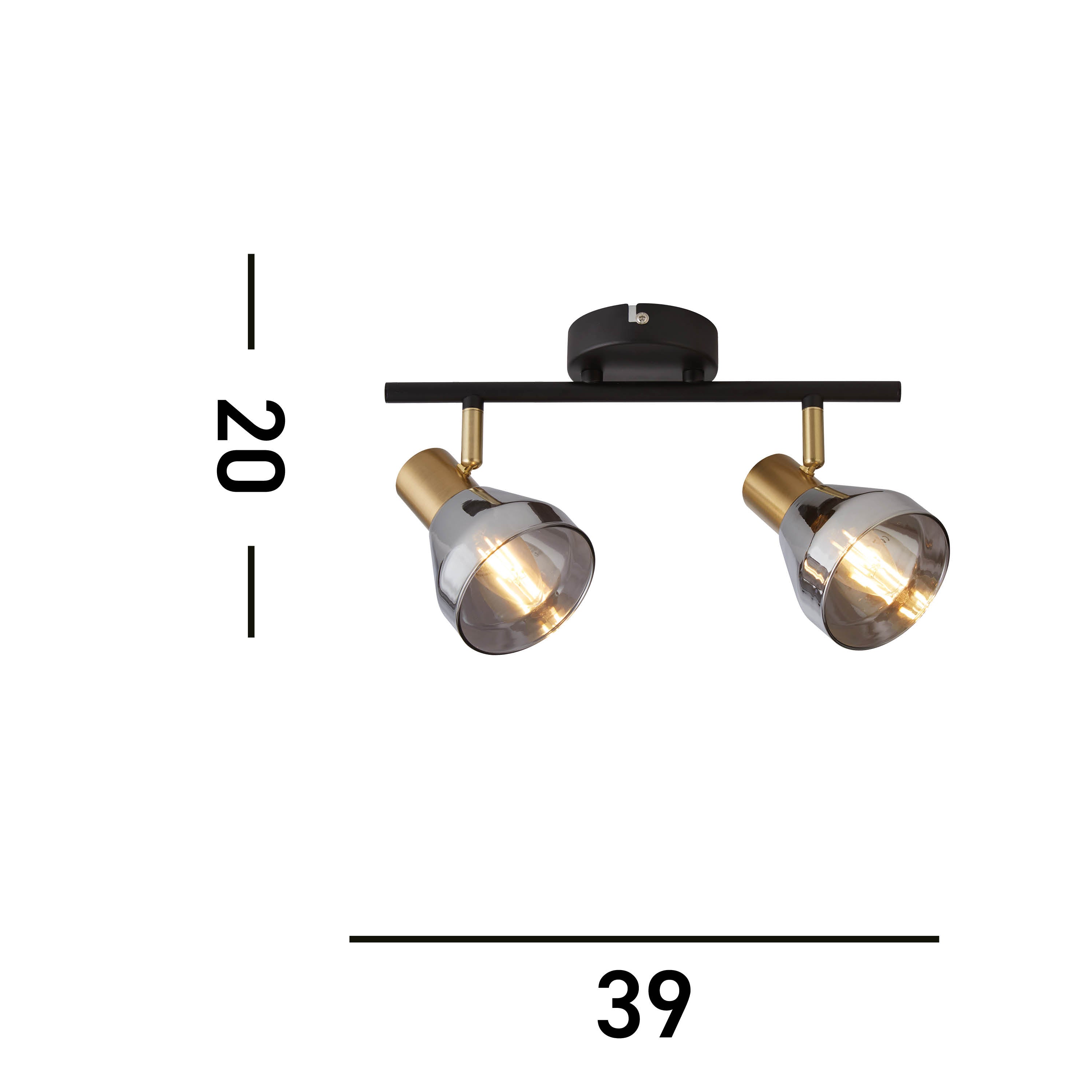 Searchlight Westfield 2 Light Spotlight - Black, Satin Brass & Smoked Glass