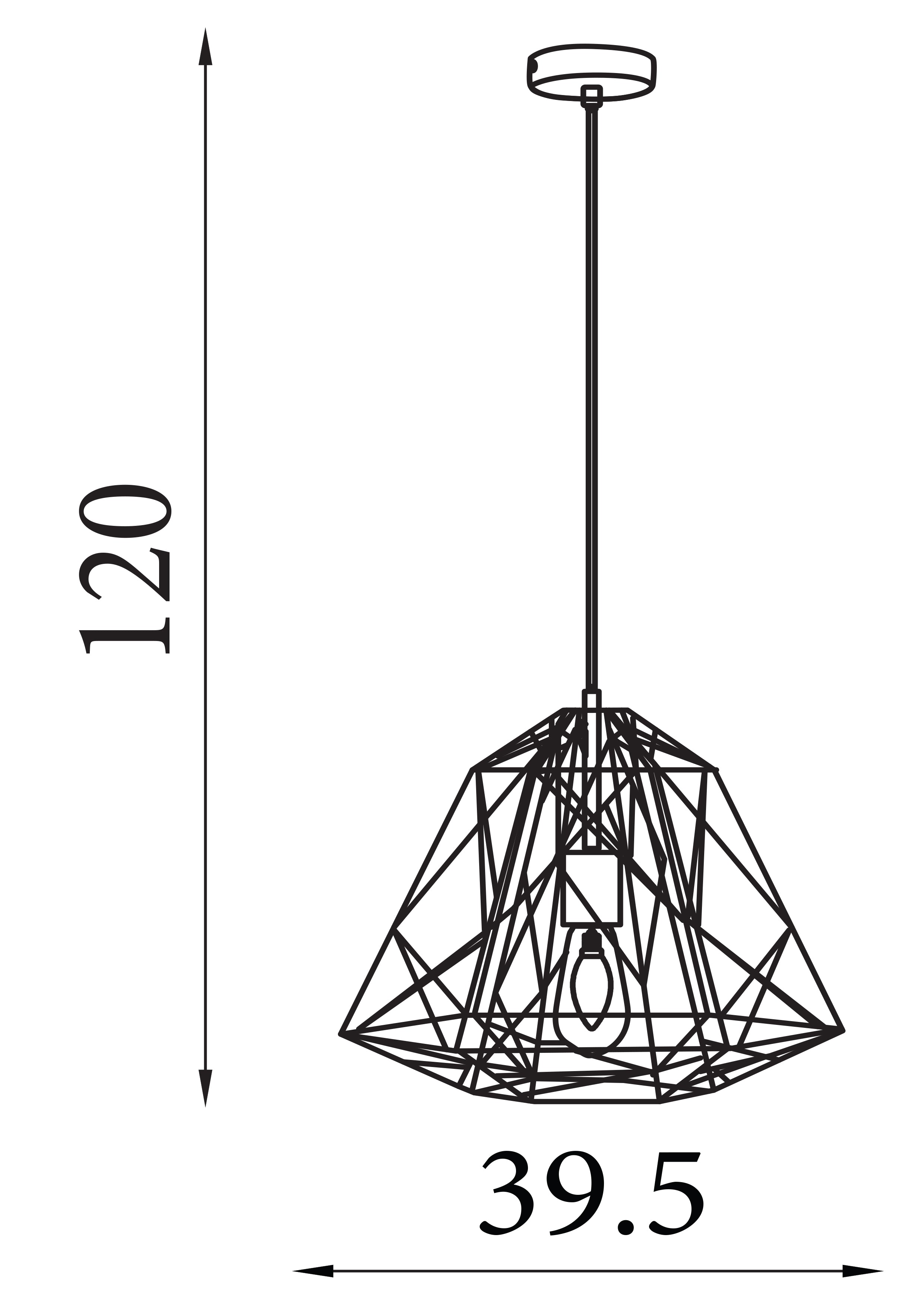 Searchlight Garrick Cage Pendant - Matt Black