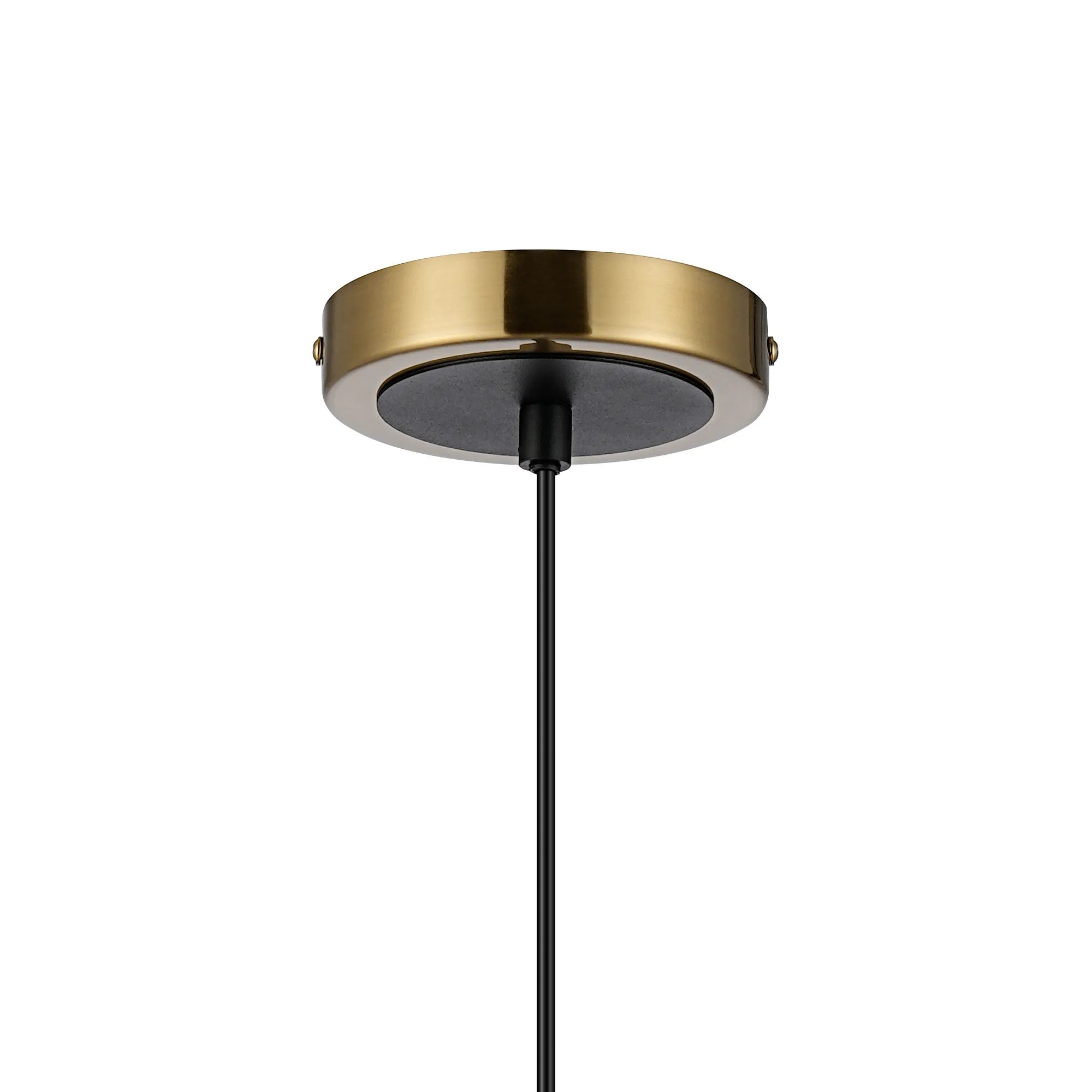 Sycamore Pendant Brass & Satin Black