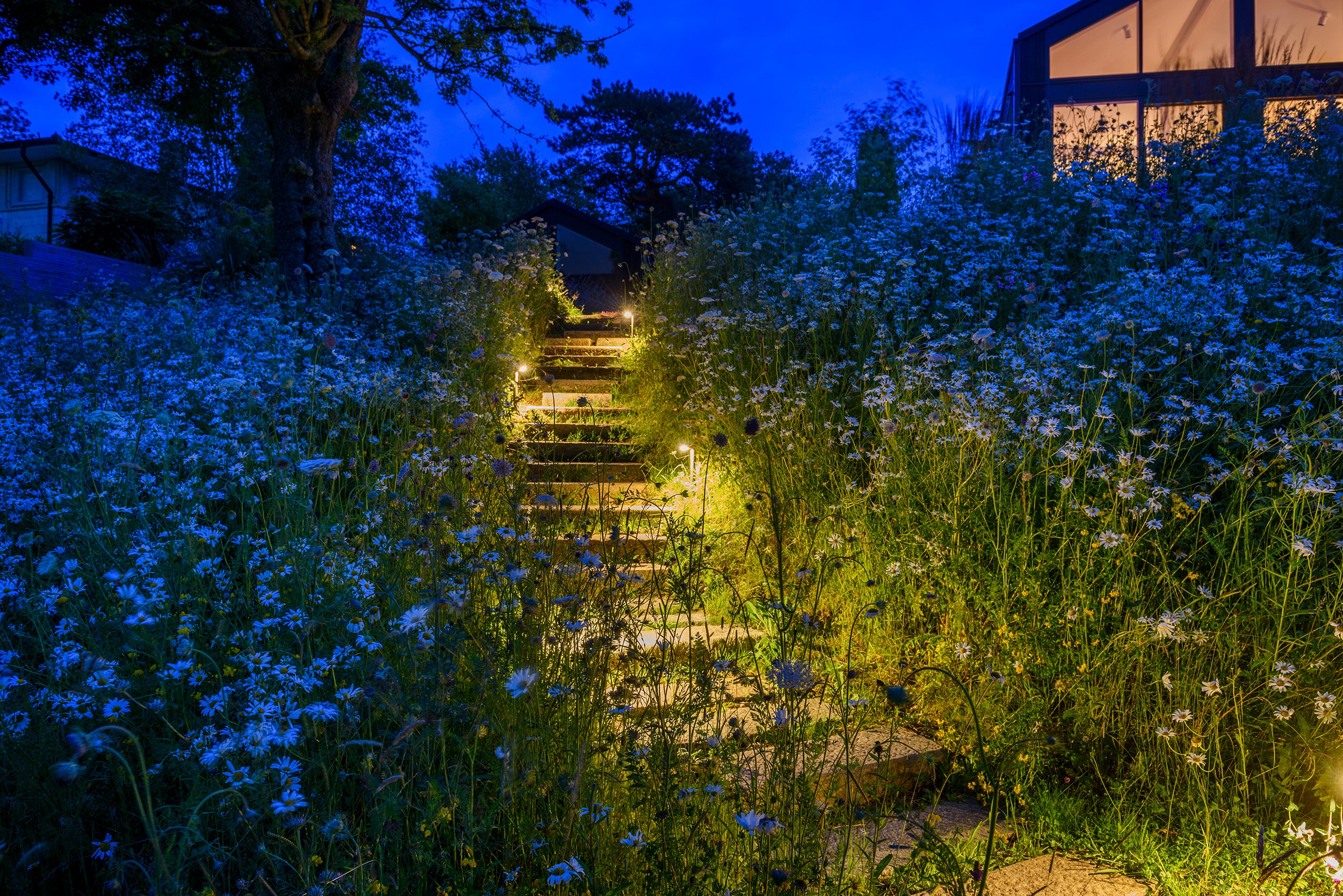 Stairway illuminated by lights in a garden with flowers at night