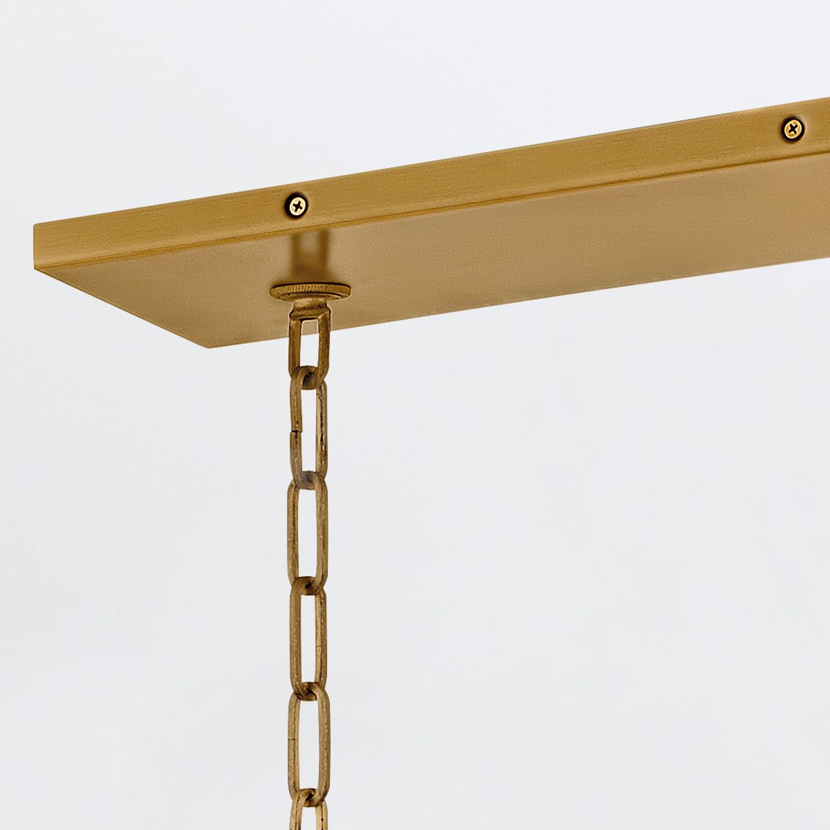 Quintiesse Flora0 10 Light Linear Chandelier - Burnished Gold