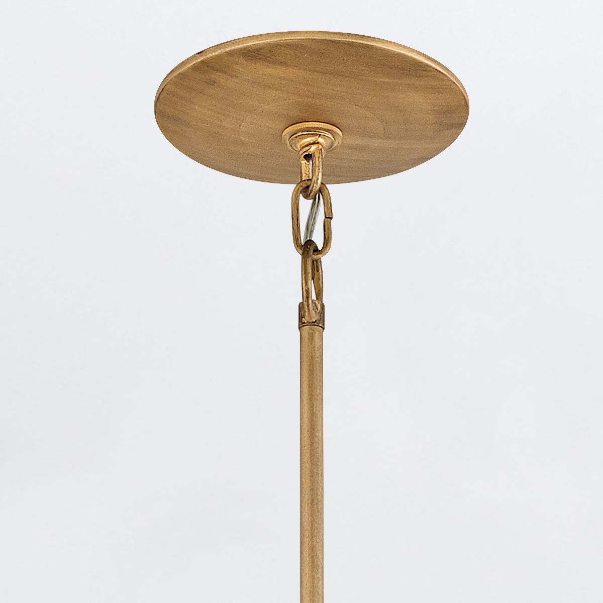 Quintiesse Flora 3 Light Duo-Mount Pendant - Burnished Gold