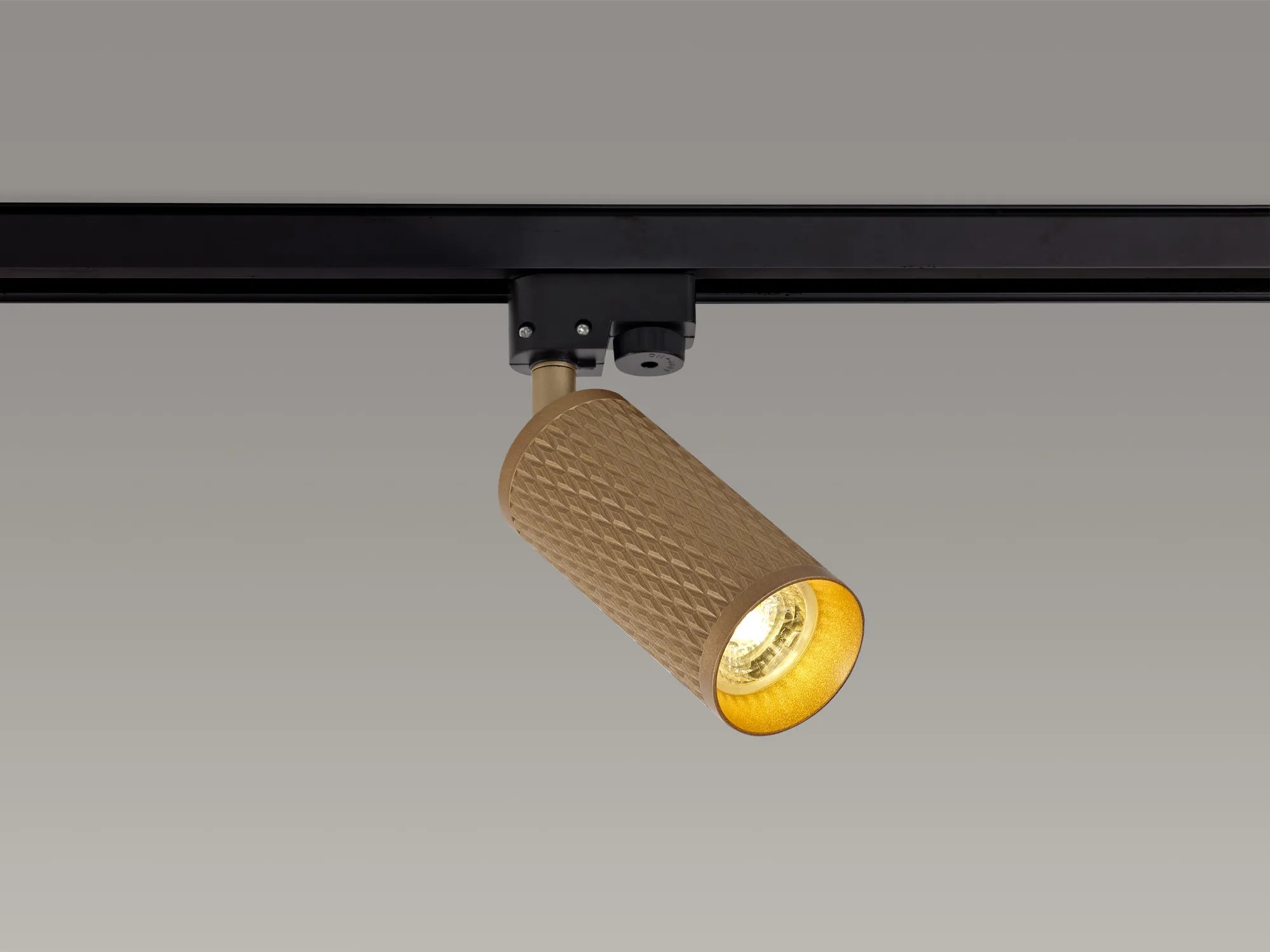 Summerfield Track Adjustable Spot Light - Champagne Gold