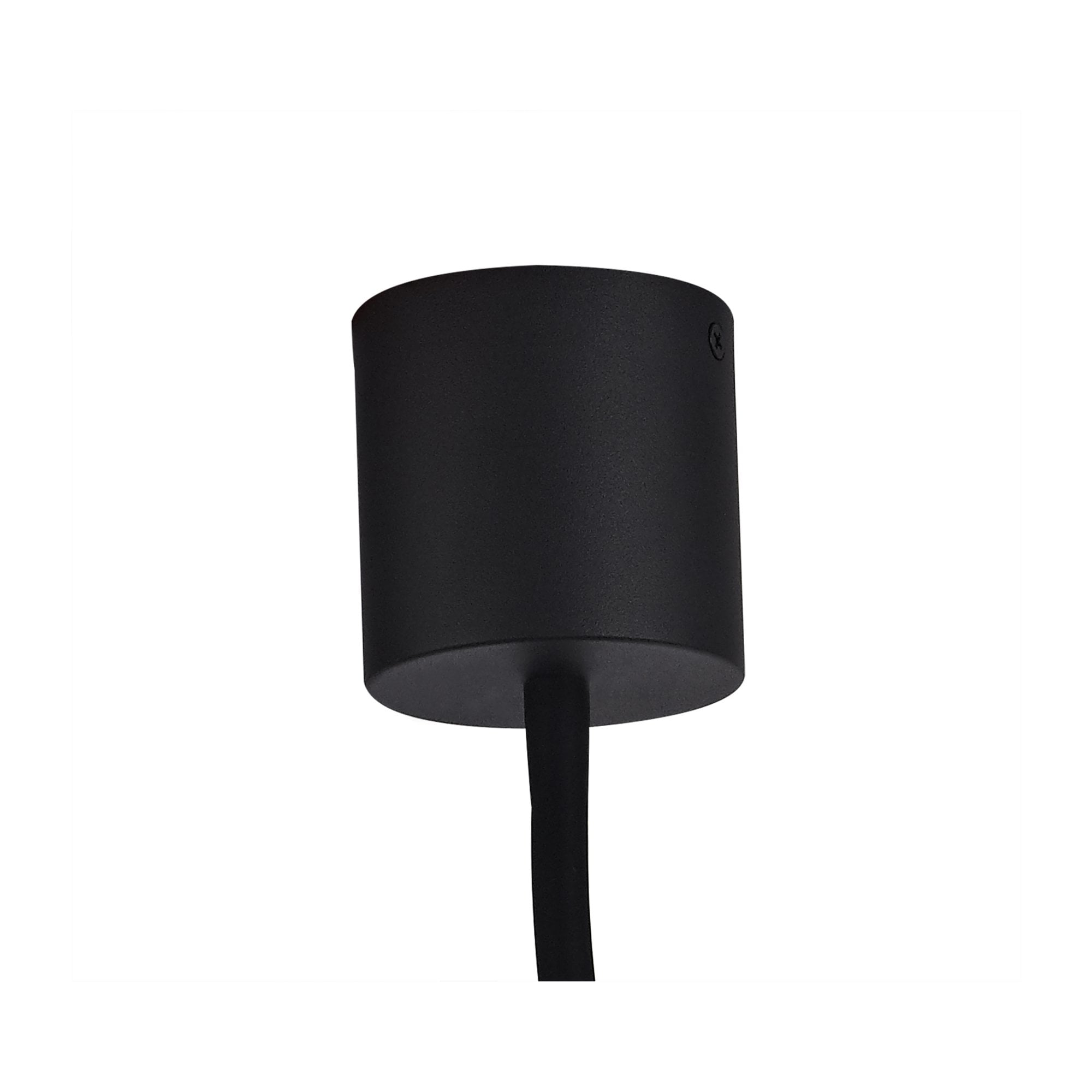 Fabula Hartwell Single Flexible Ceiling Light - Satin Black & Brushed Copper