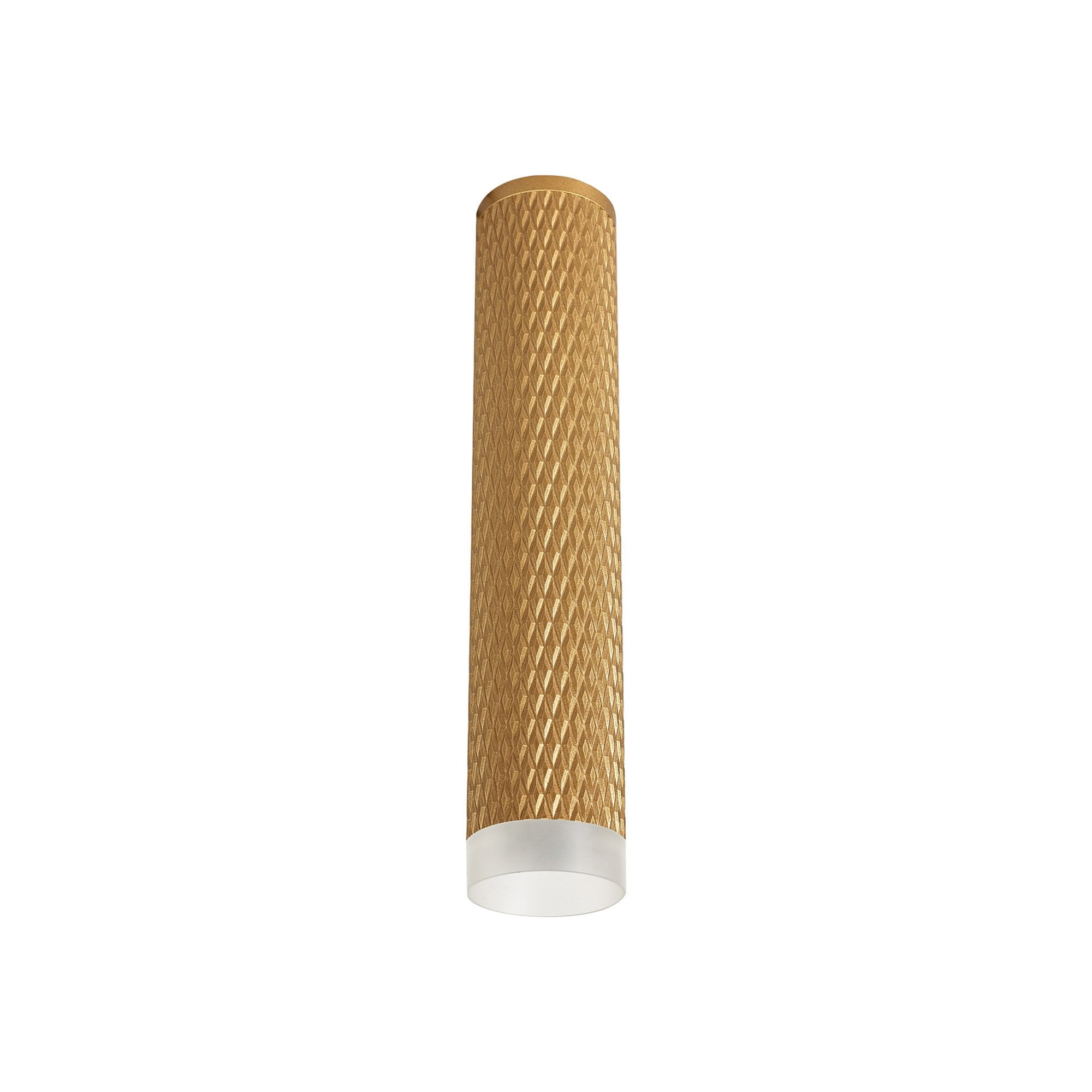 Fabula Summerfield Single 30cm Ceiling Spot Light - Champagne Gold & Acrylic Ring
