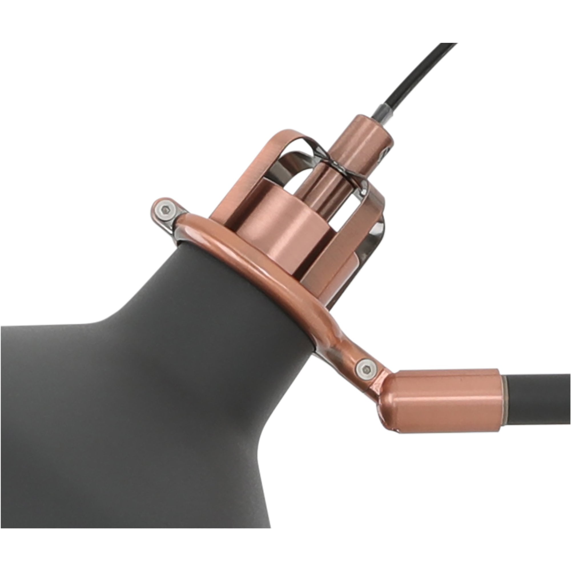 Fabula Forest Single Adjustable Wall Lamp - Graphite & Copper