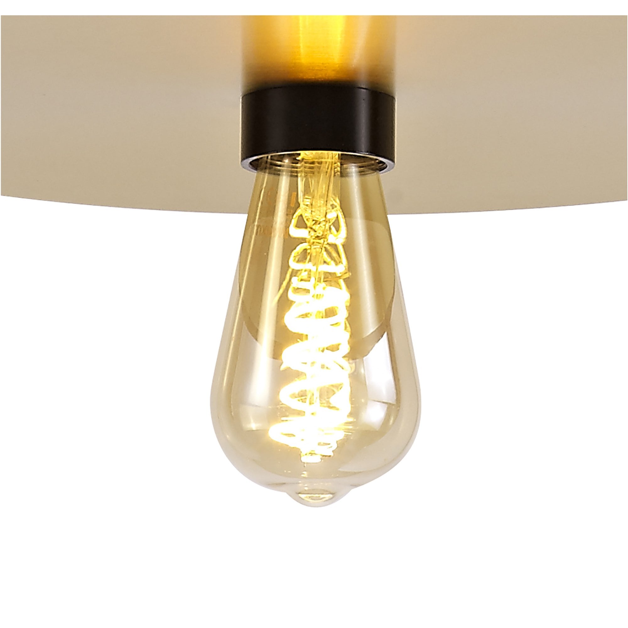 Fabula Valley Single Flush/Semi-Flush/Pendant - Black & Gold