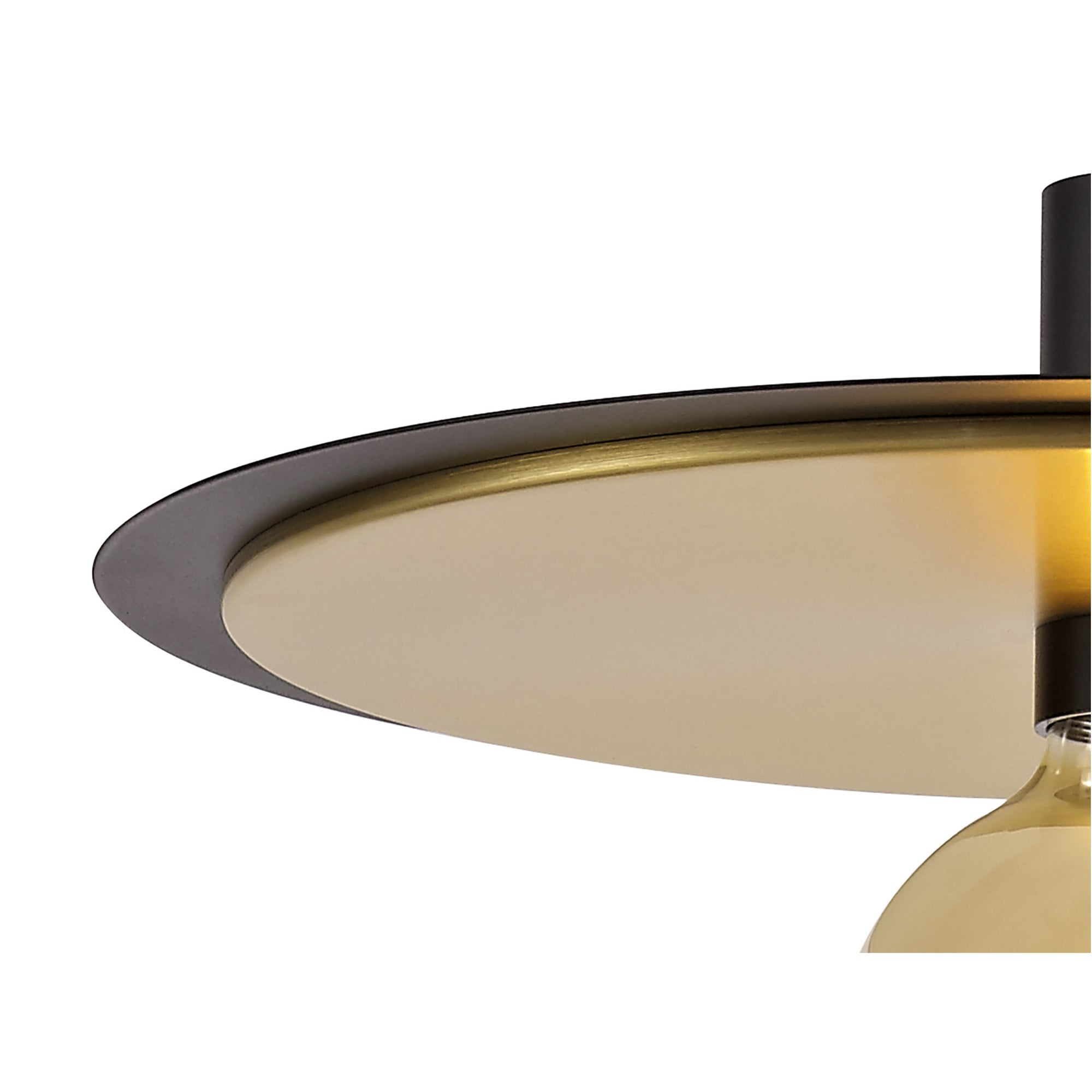 Fabula Valley Single Flush/Semi-Flush/Pendant - Black & Gold