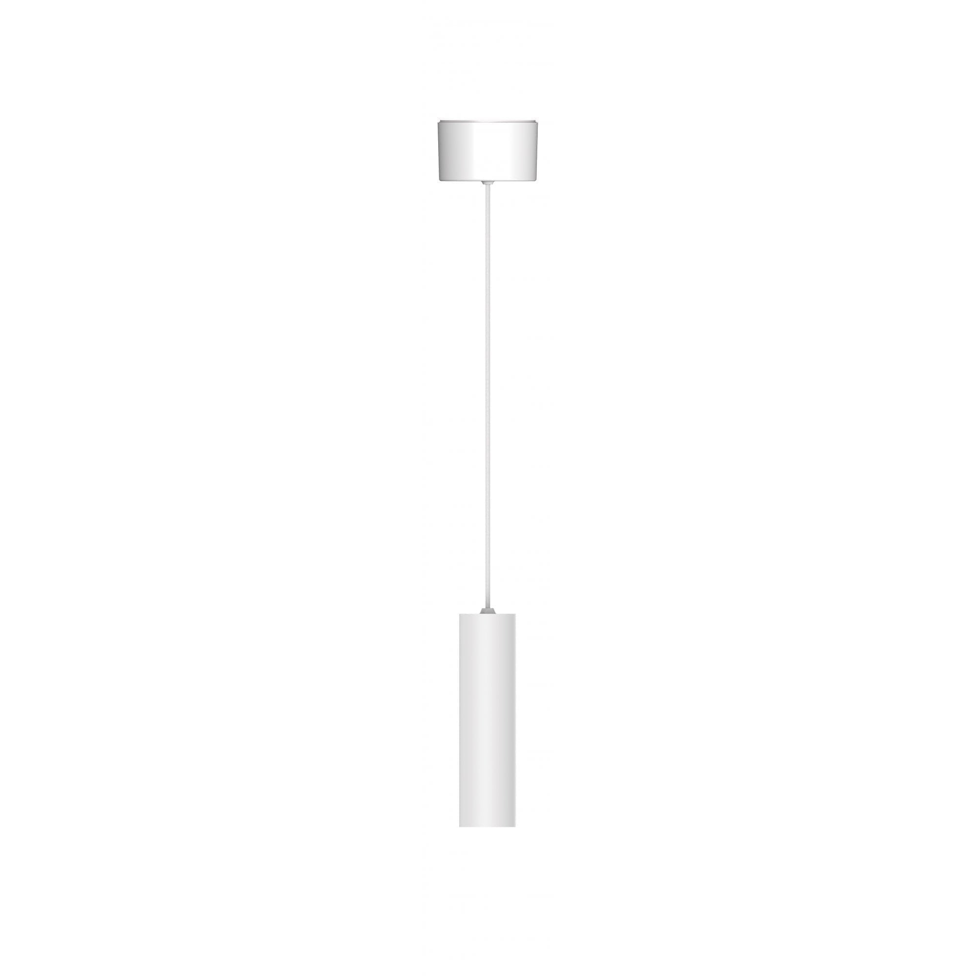 Collingwood 1901 Pendant Surface Mounted - All White