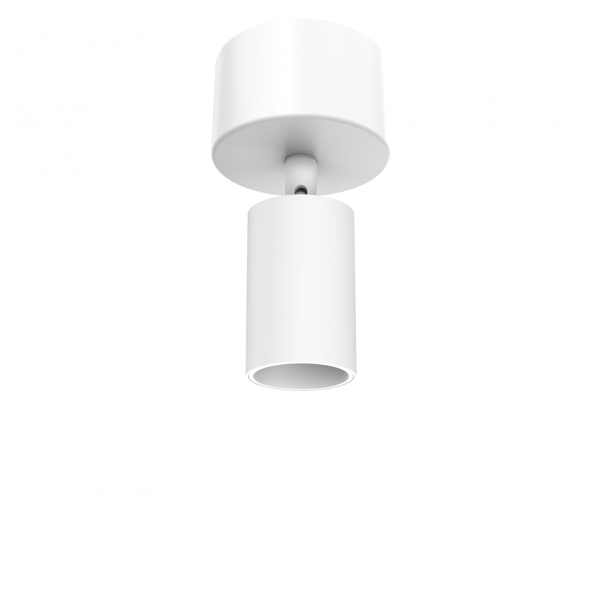 Collingwood 1901 Rotatable Spotlight Surface Mounted - All White