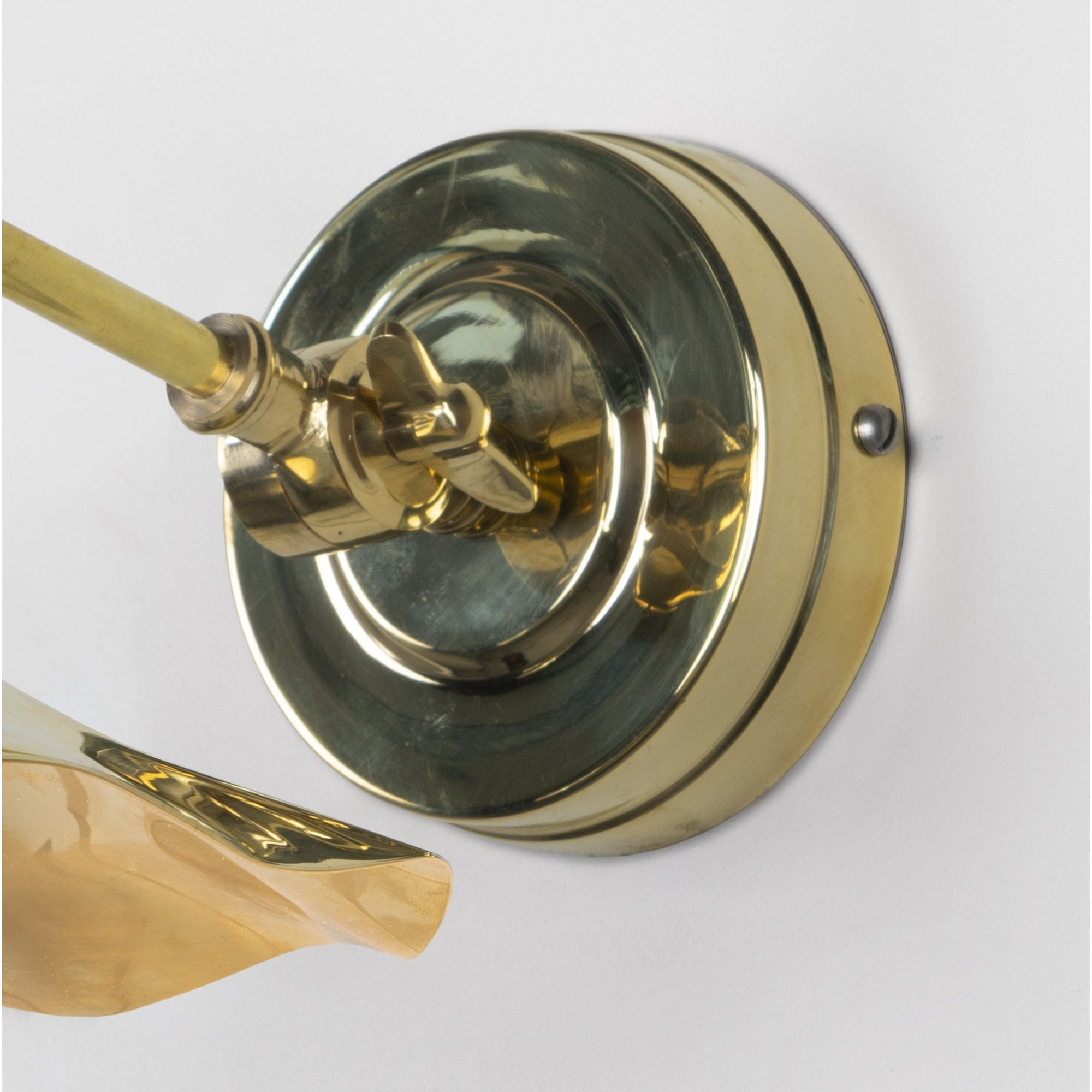 From The Anvil Smooth Brass Flora Wall Light