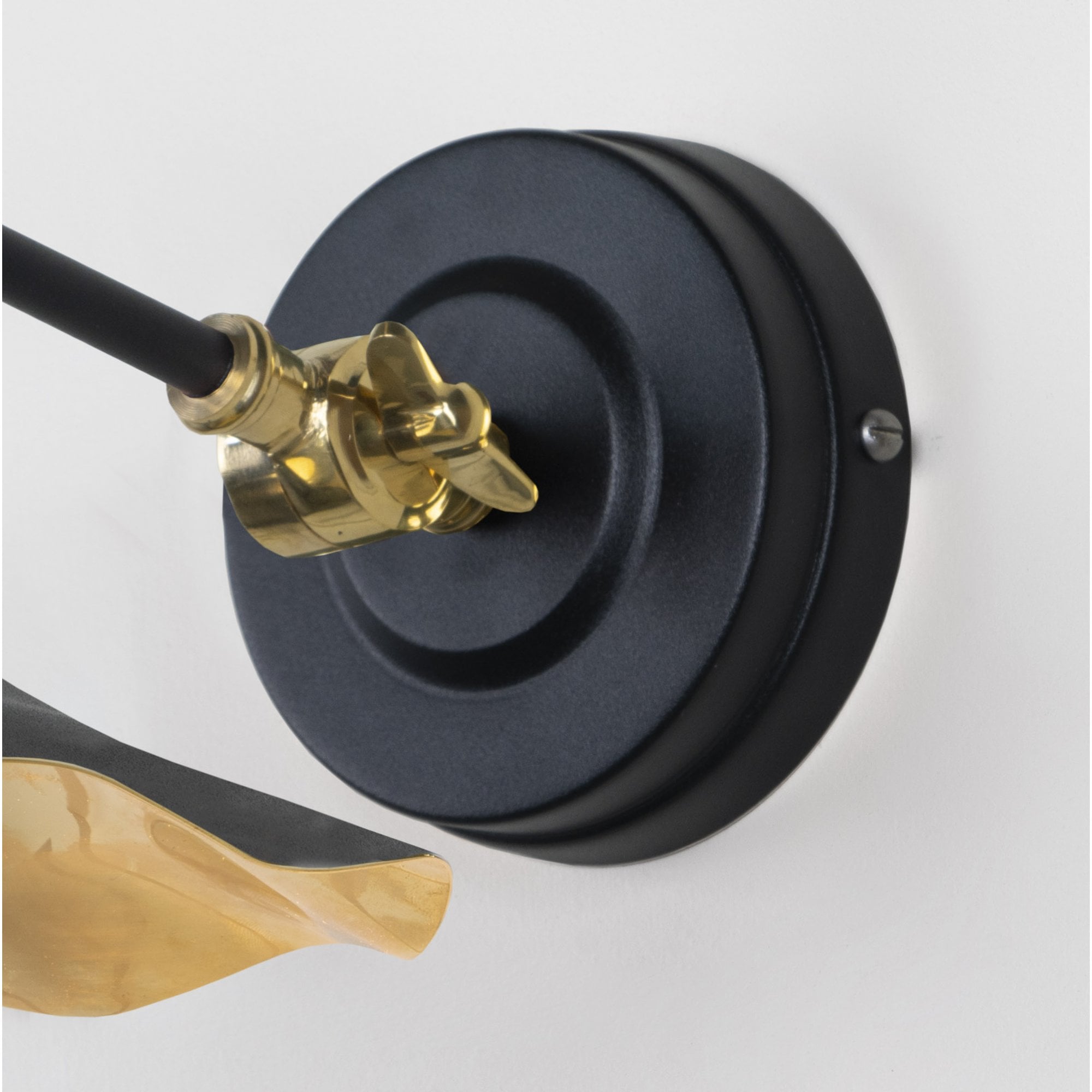 From The Anvil Smooth Brass Flora Wall Light - Elan Black